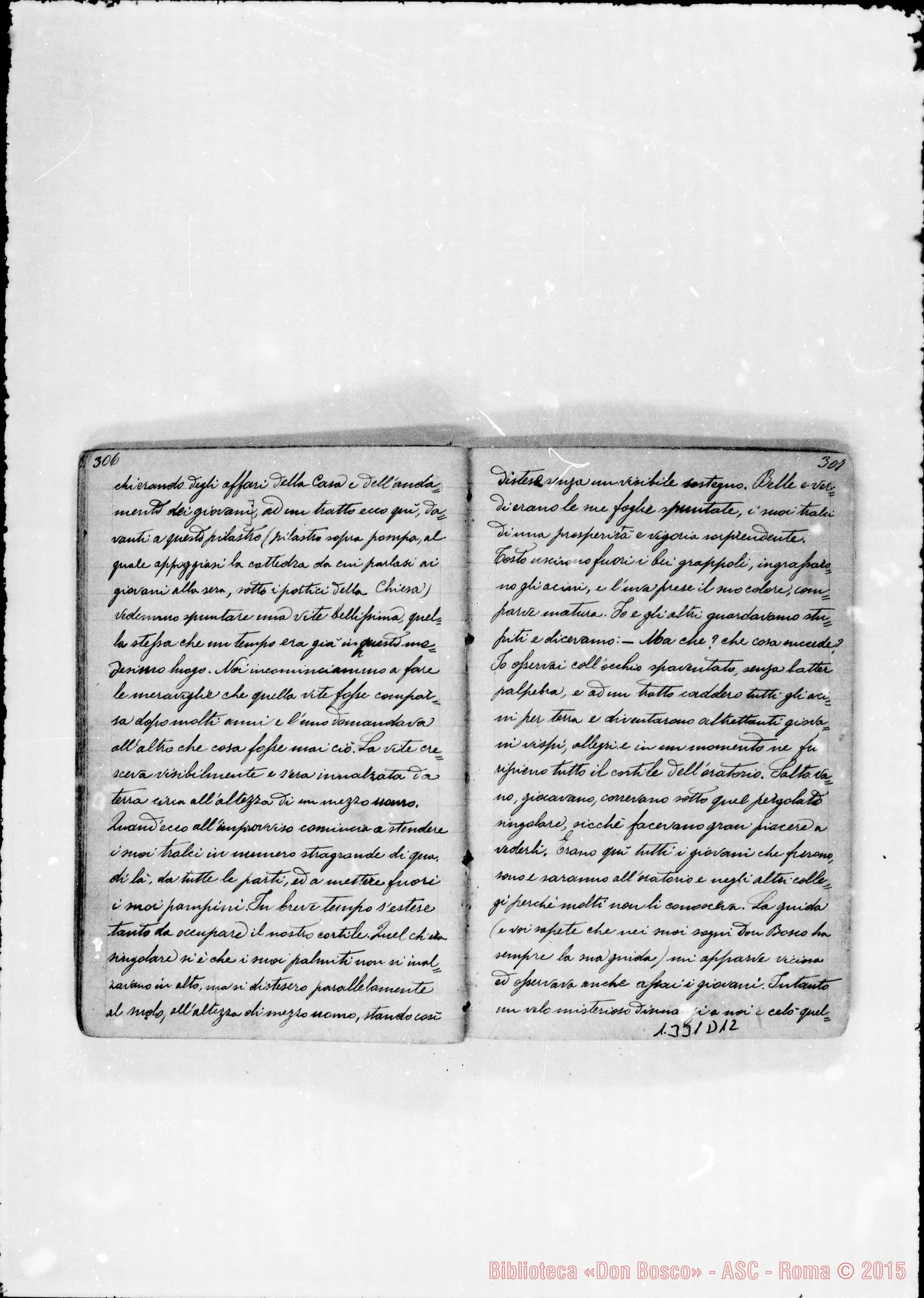 Fotogramma D 12
