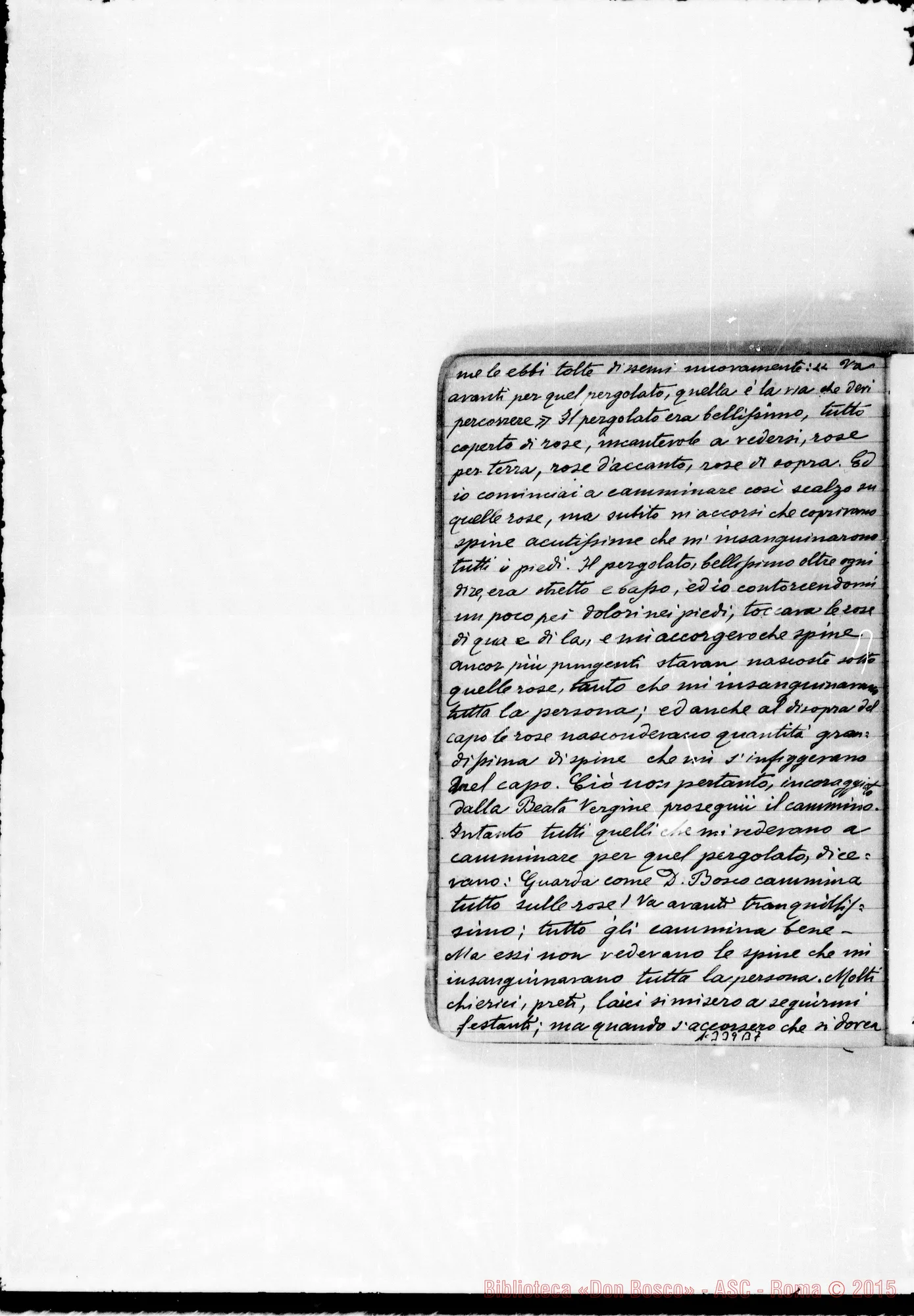 Fotogramma B 7 — Vignolo Vincenzo, sac. SDB: Due quaderni: I: «Mirabilis Dominus…»