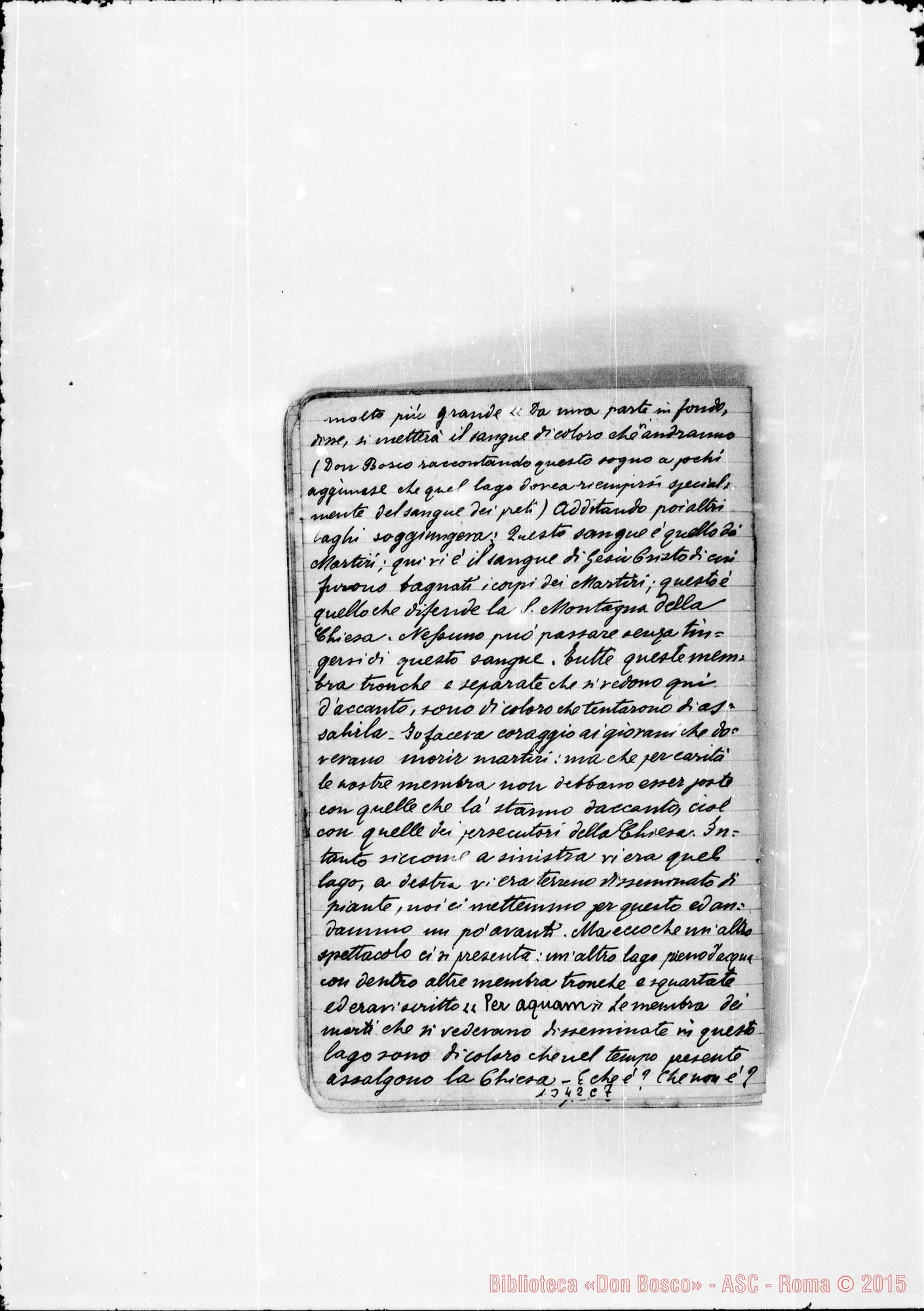 Fotogramma C 7