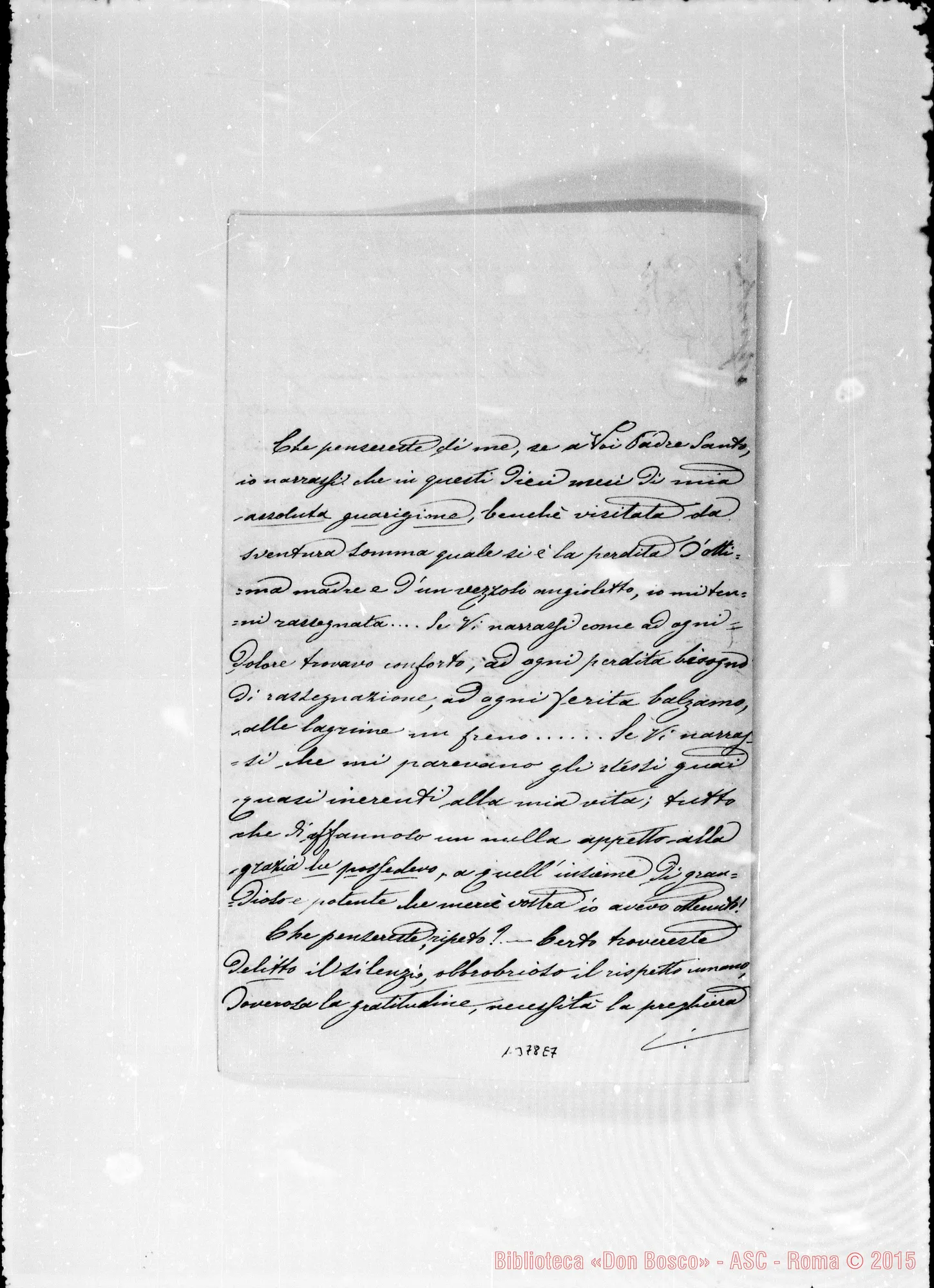 Fotogramma E 7 — Ghisi Pasquinoli Rosa