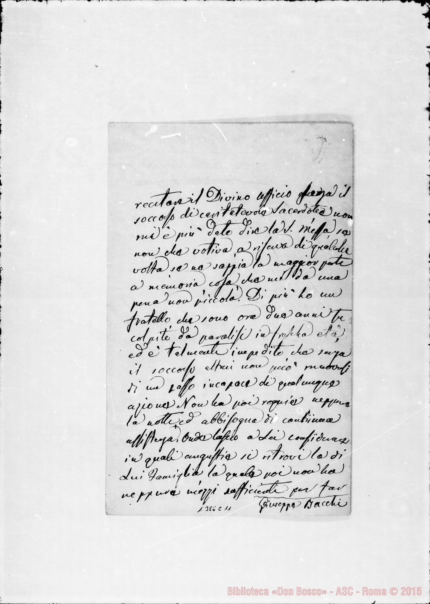Fotogramma C 11 — Bacchi Giuseppe