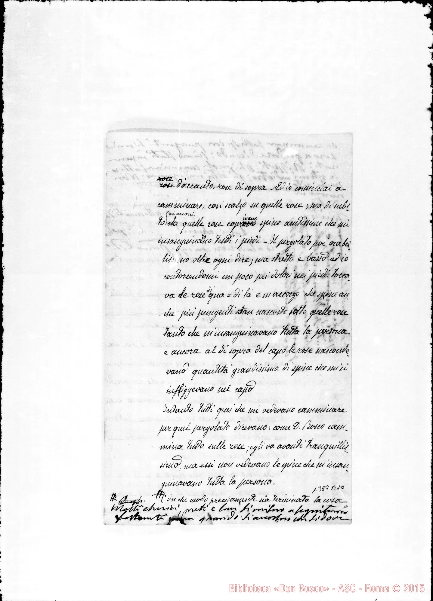 Fotogramma B 10 — Barberis Giulio