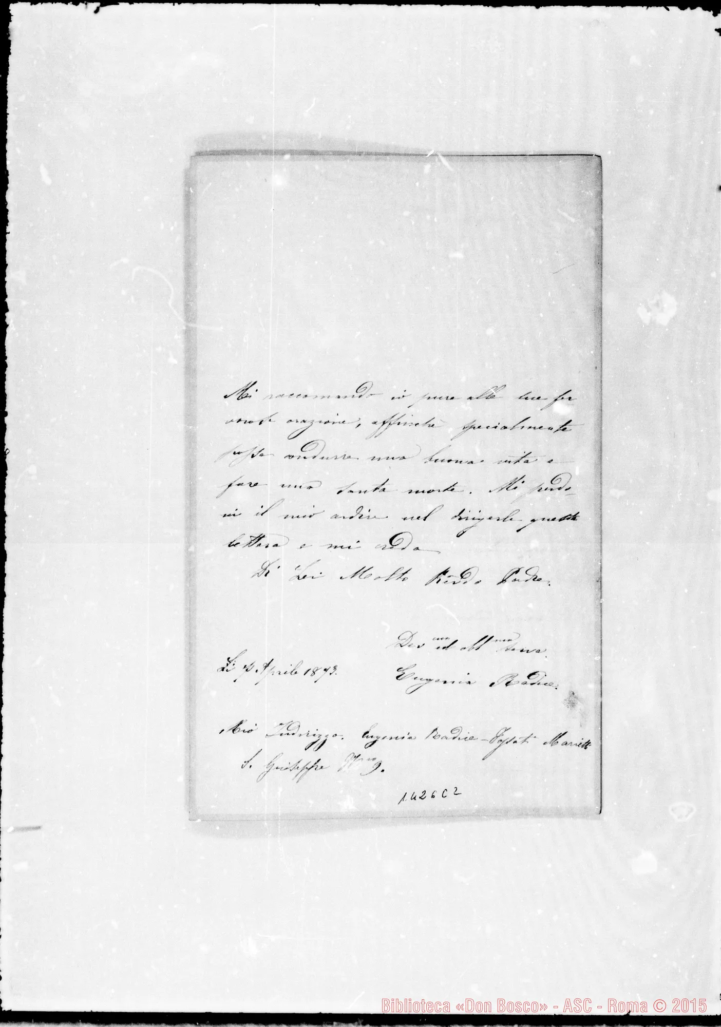 Fotogramma C 2 — Radice Eugenia