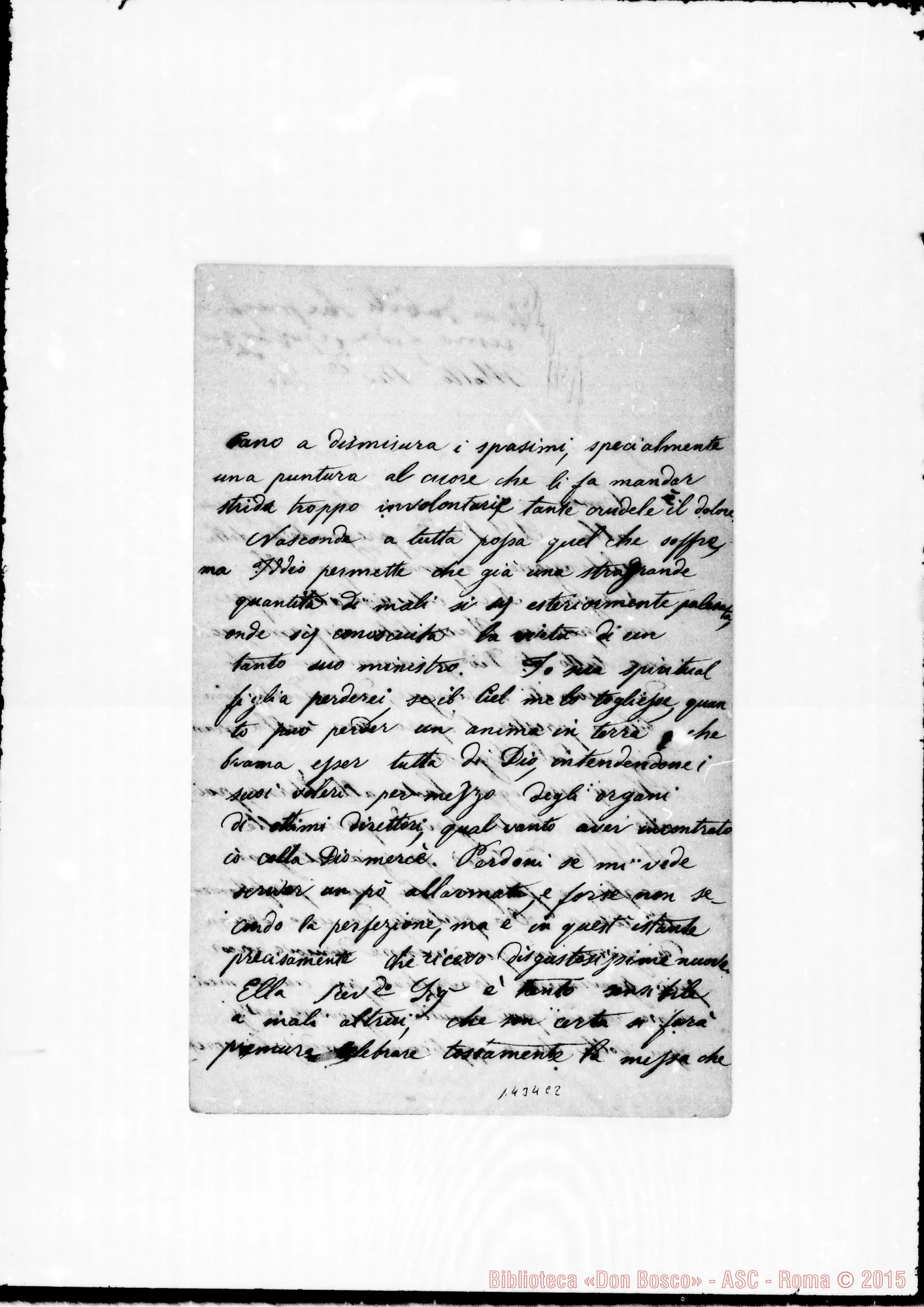 Fotogramma C 2 — Torreri Eulania