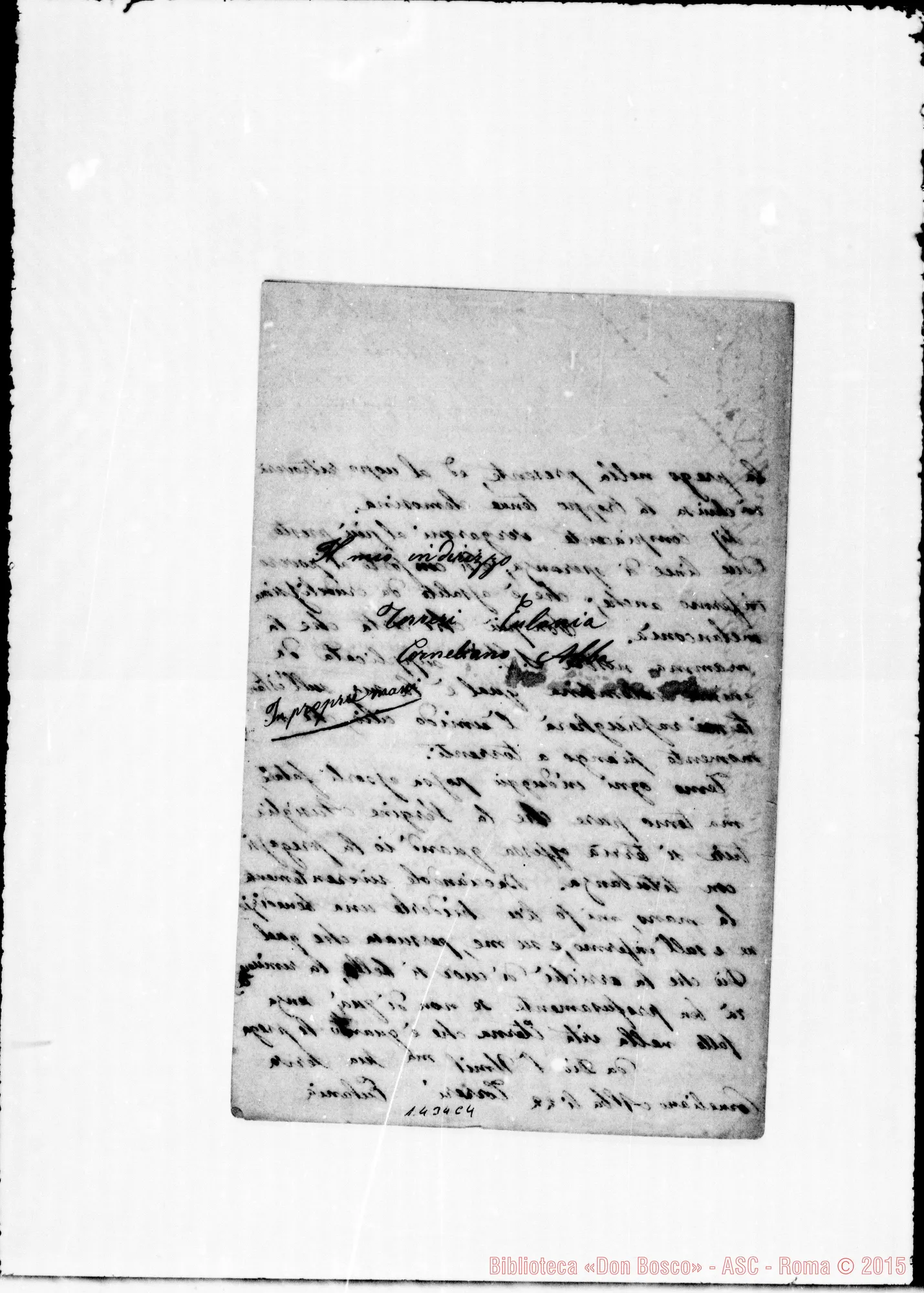 Fotogramma C 4 — Torreri Eulania