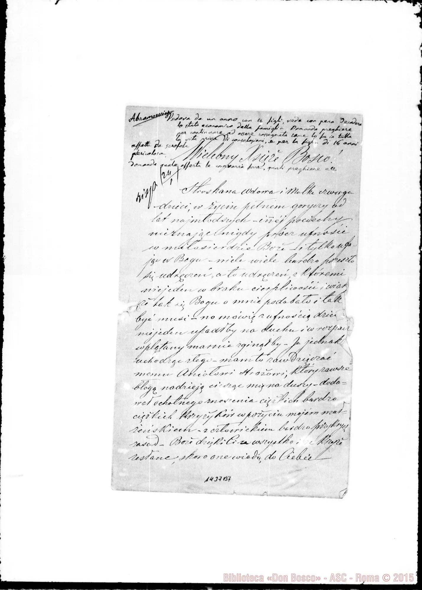 Fotogramma B 7 — Abramowicz Felicya
