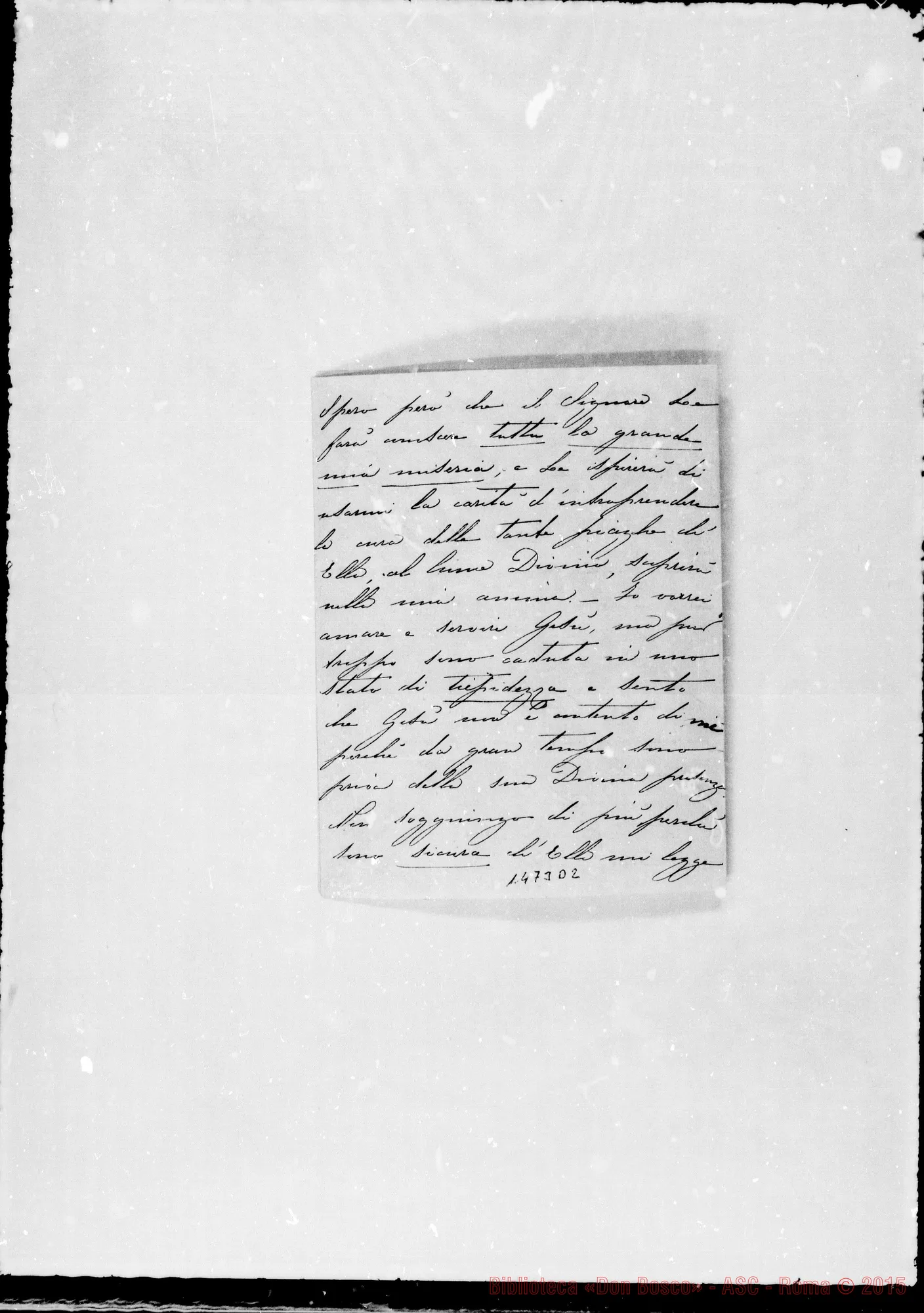 Fotogramma D 2 — Carolina M.S.