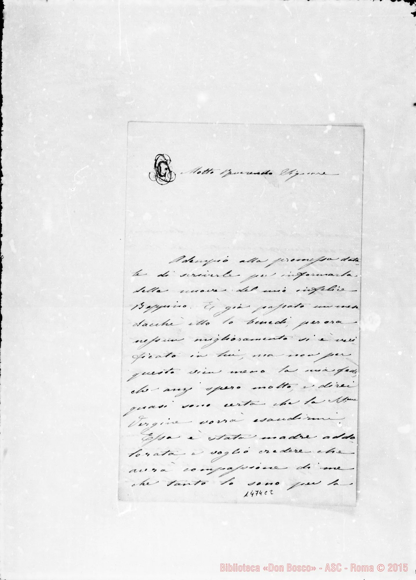 Fotogramma C 2 — Casaglia Luisa Fedi
