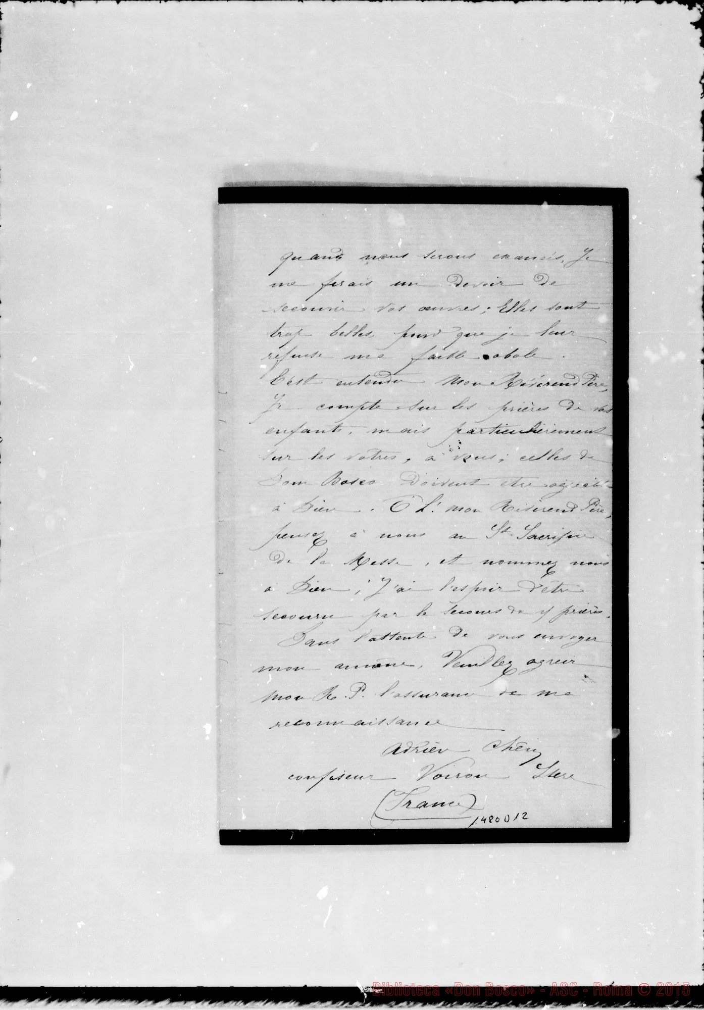 Fotogramma D 12 — Chène