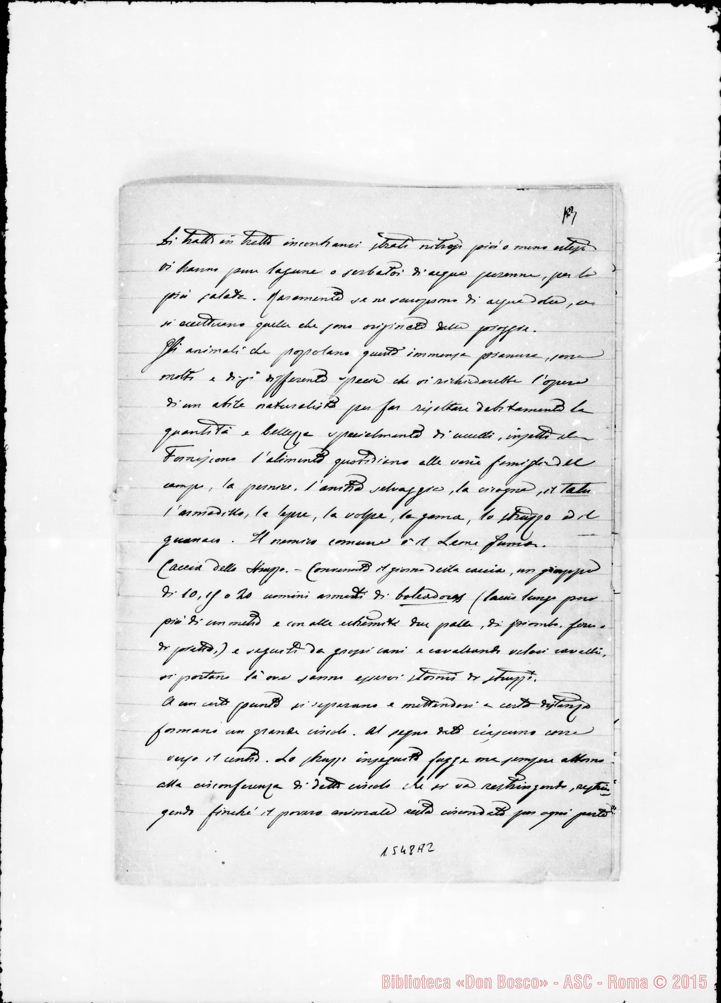 Fotogramma A 2 — » » . Acclusa altra di D. Riccardi