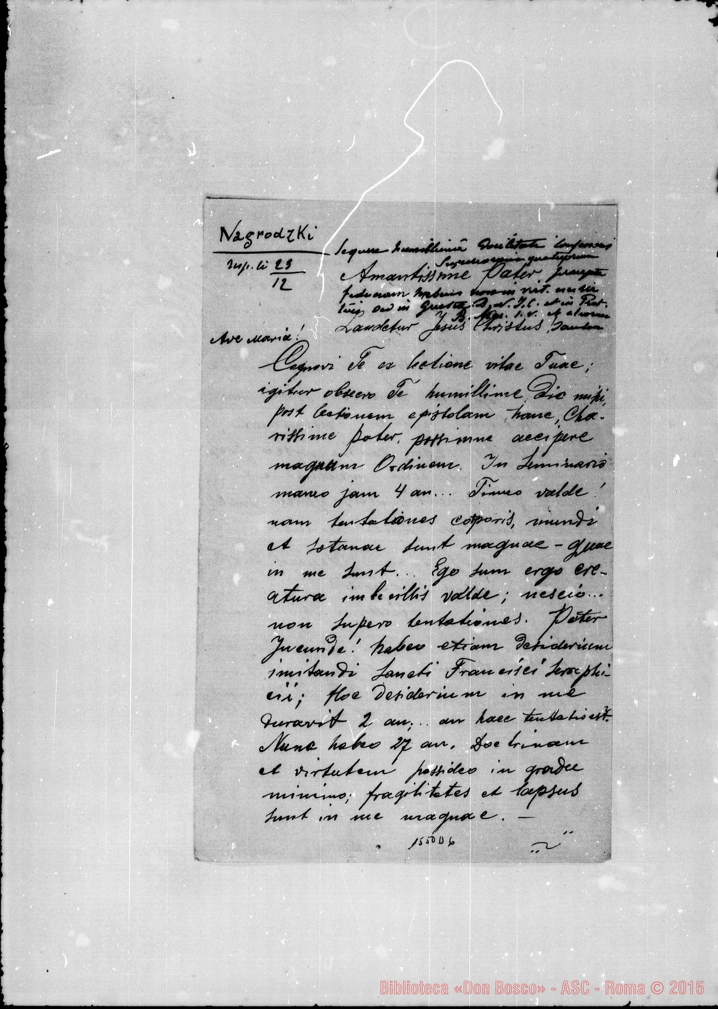 Fotogramma D 6 — Nagrodzki Henricus
