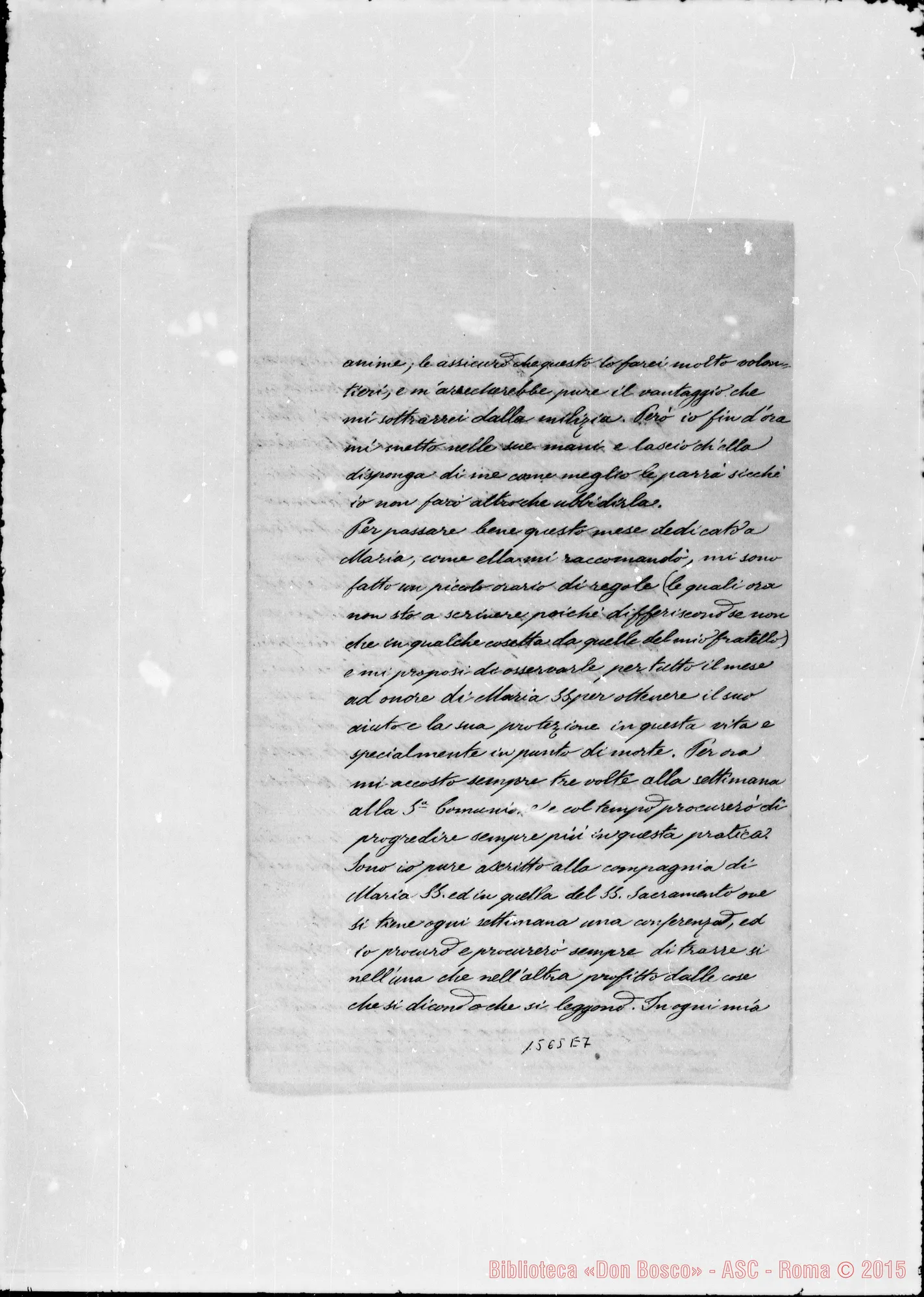 Fotogramma E 6 — Radicati Pietro
