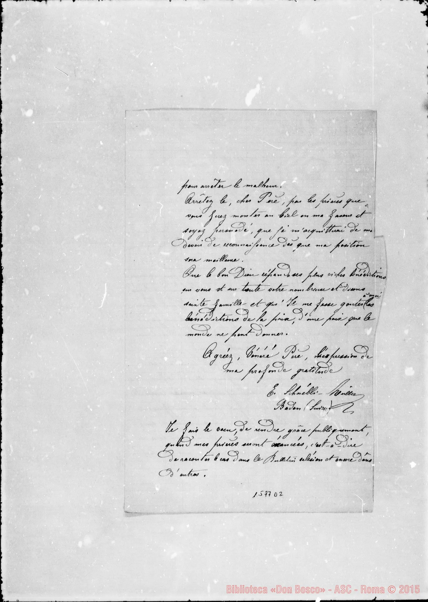 Fotogramma D 2 — Schnebli Müller E.
