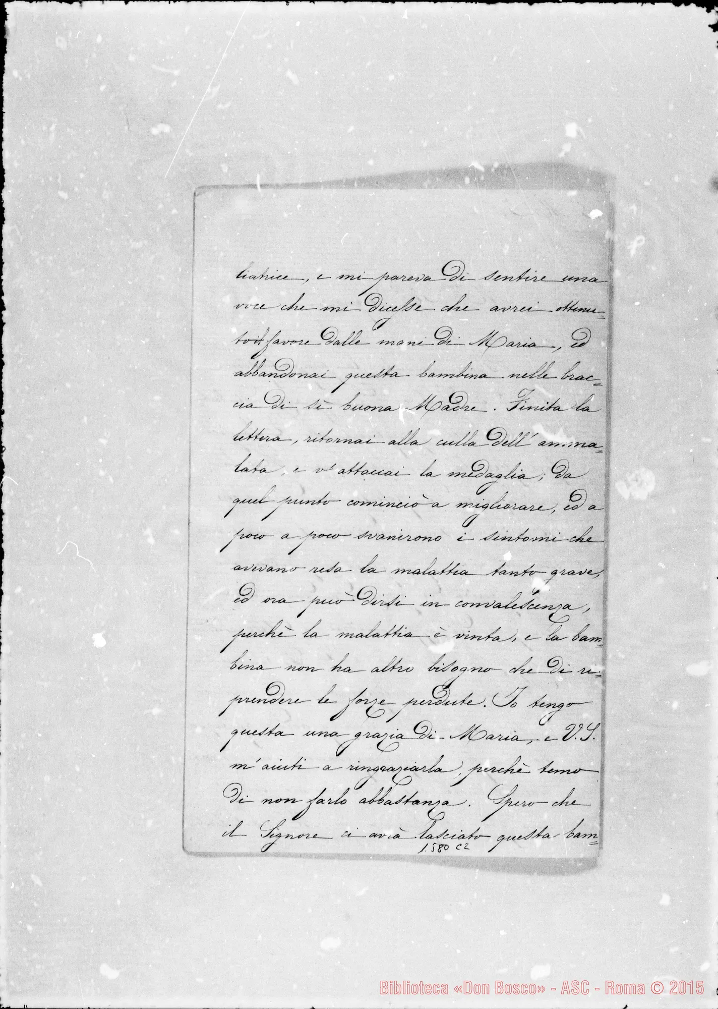 Fotogramma C 2 — Spinola Maria Cataldi