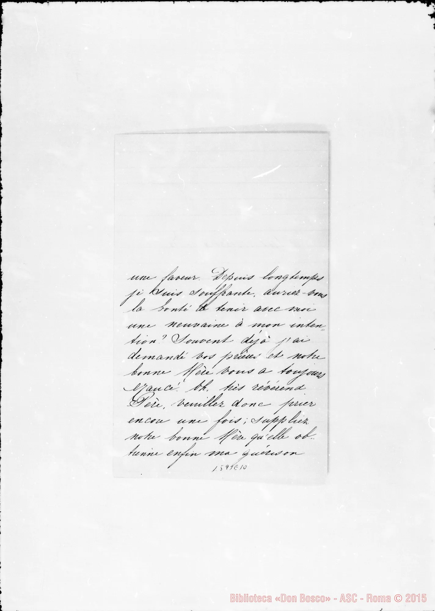 Fotogramma E 10 — Wayenburg Cecile