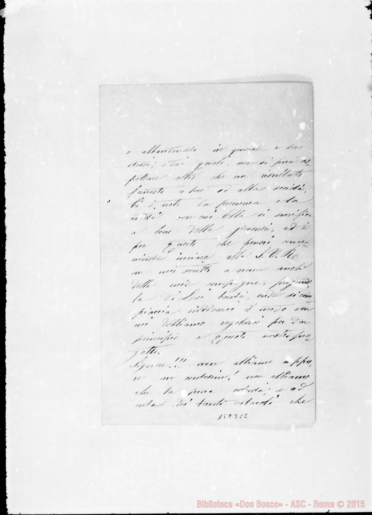 Fotogramma C 2 — Zanelli Maria