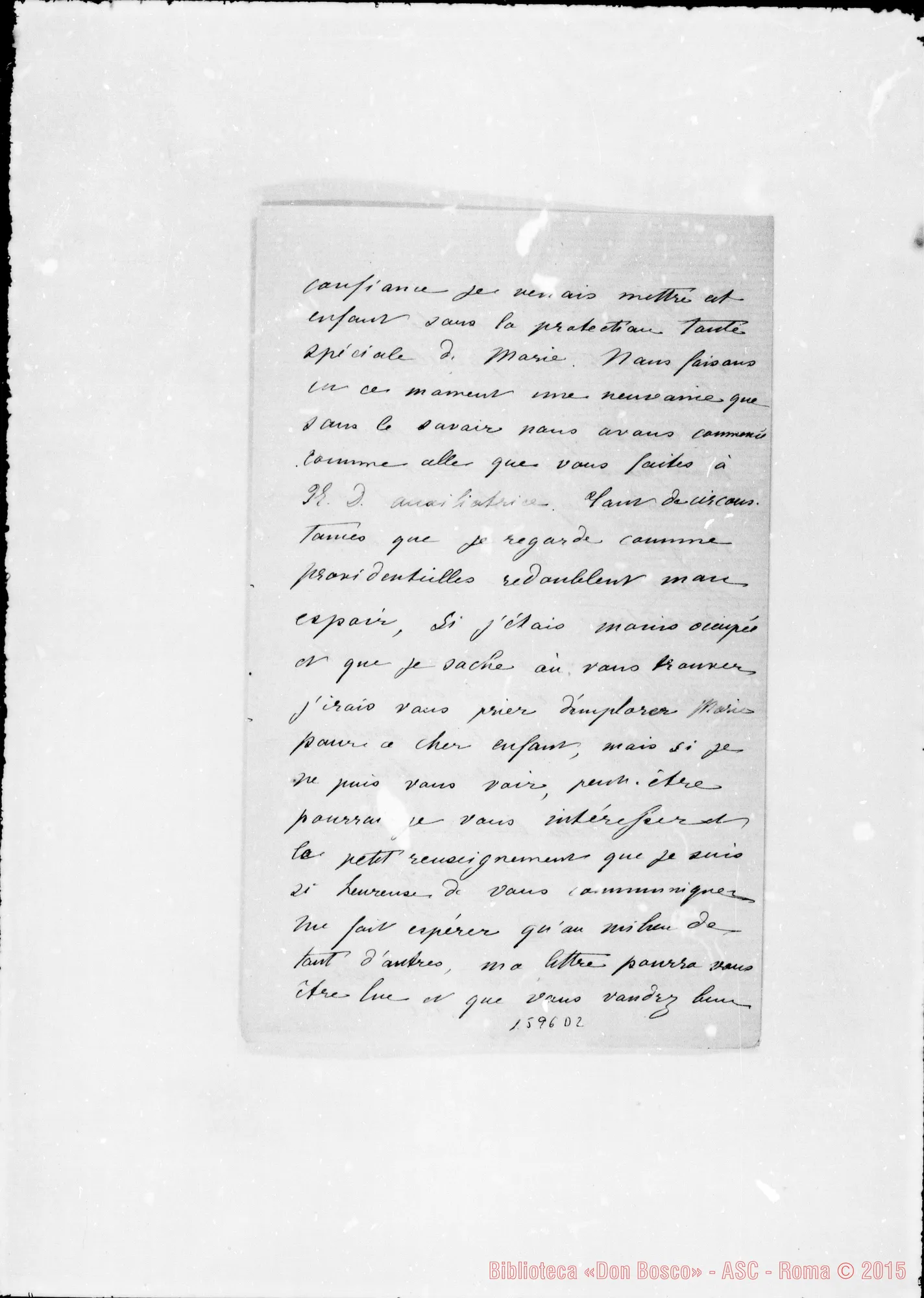 Fotogramma D 2 — Bricher C.