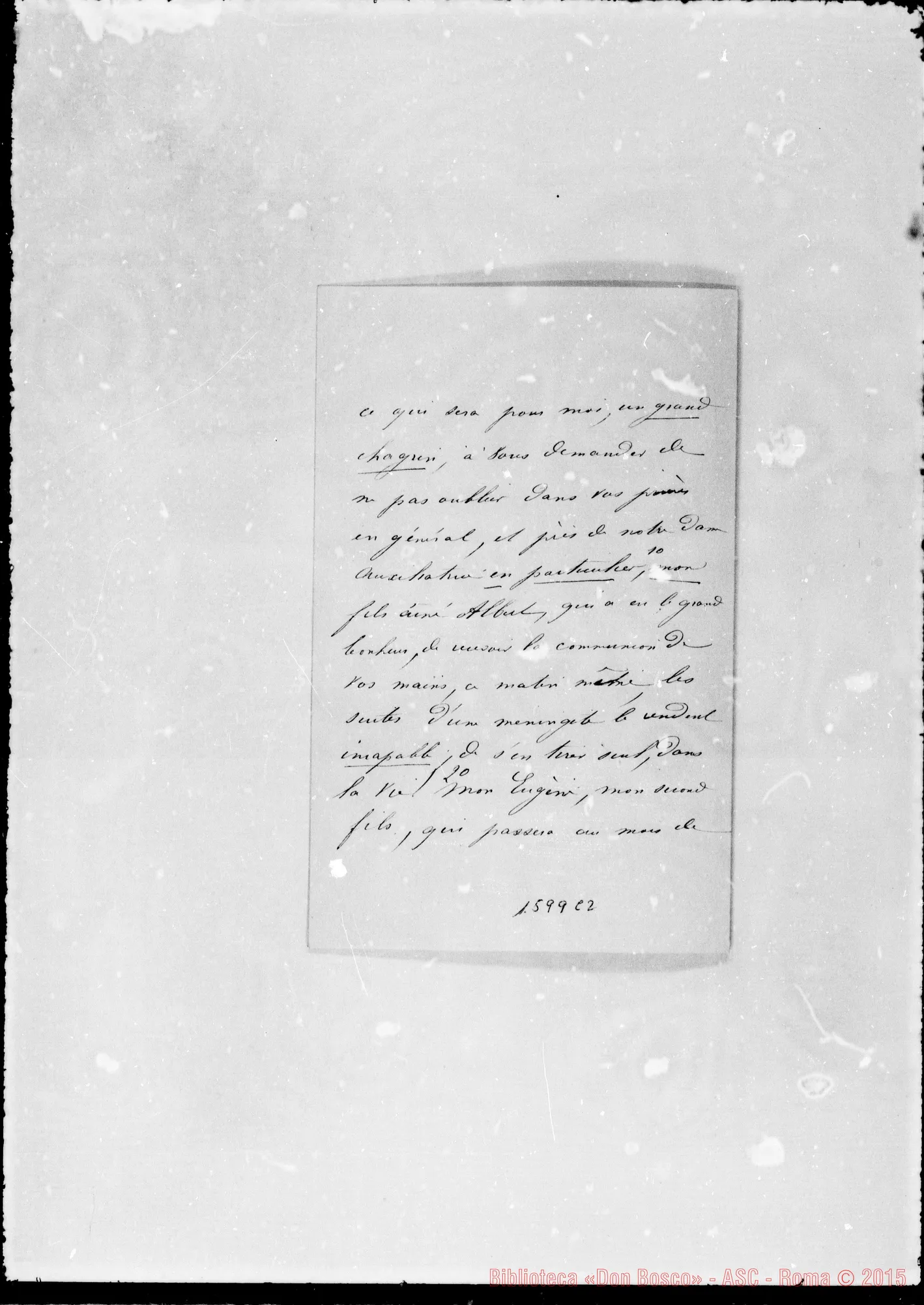 Fotogramma C 2 — Crozier Alice