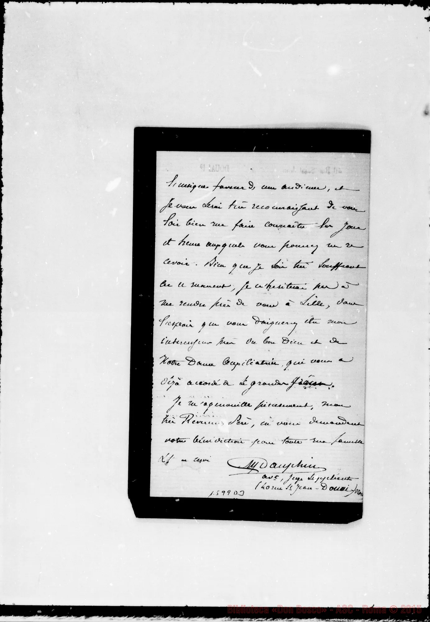 Fotogramma D 3 — Dauphin