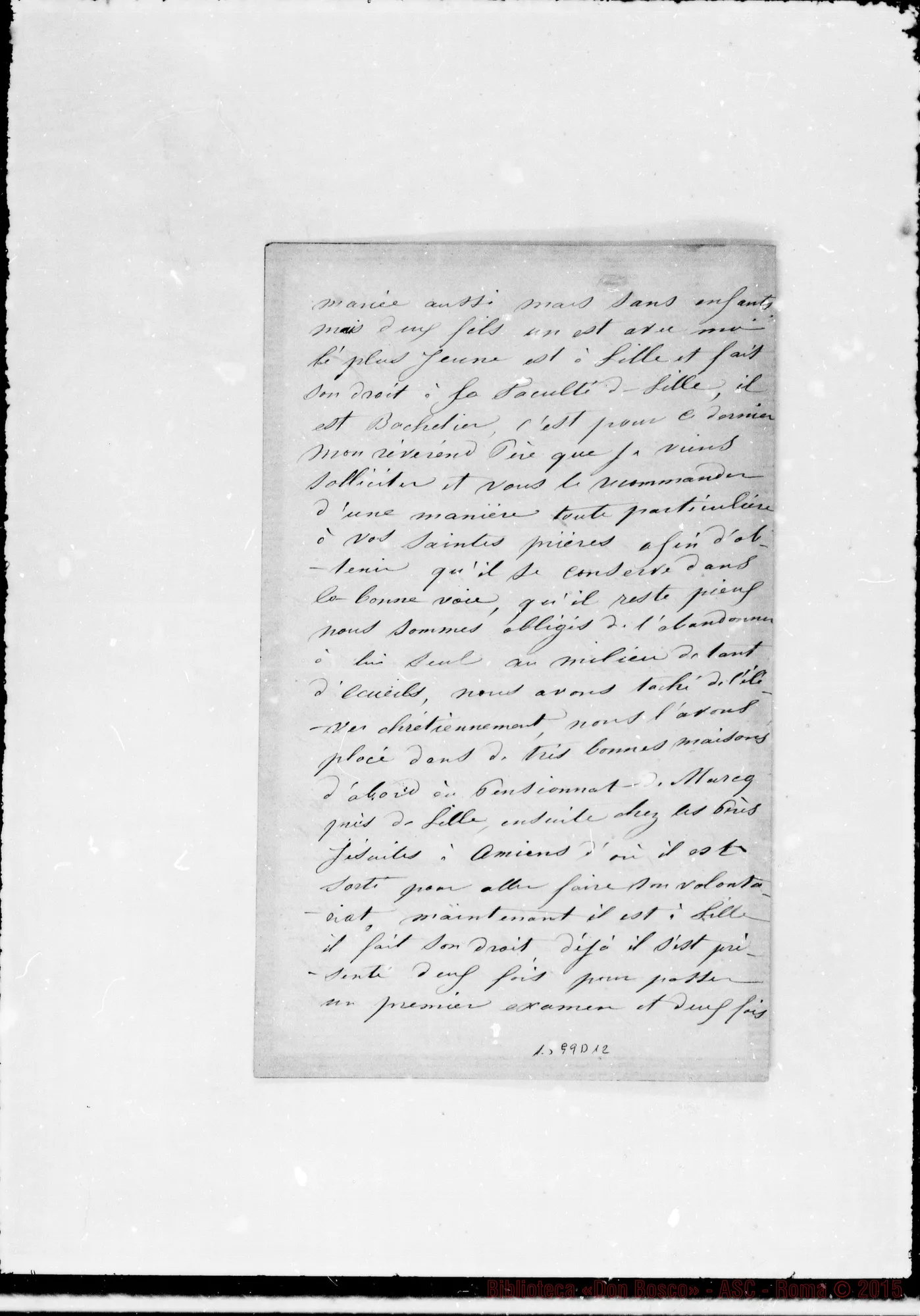 Fotogramma D 12 — Dehandschoewiscke J.