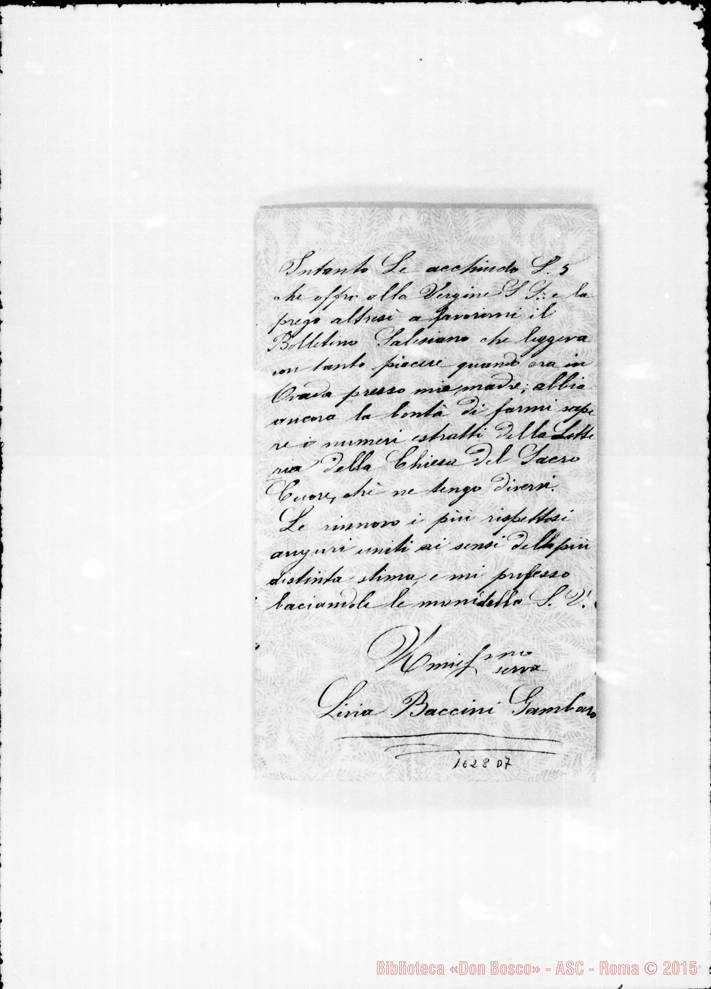 Fotogramma D 7 — Baccini Livia Gambaro-Bosco