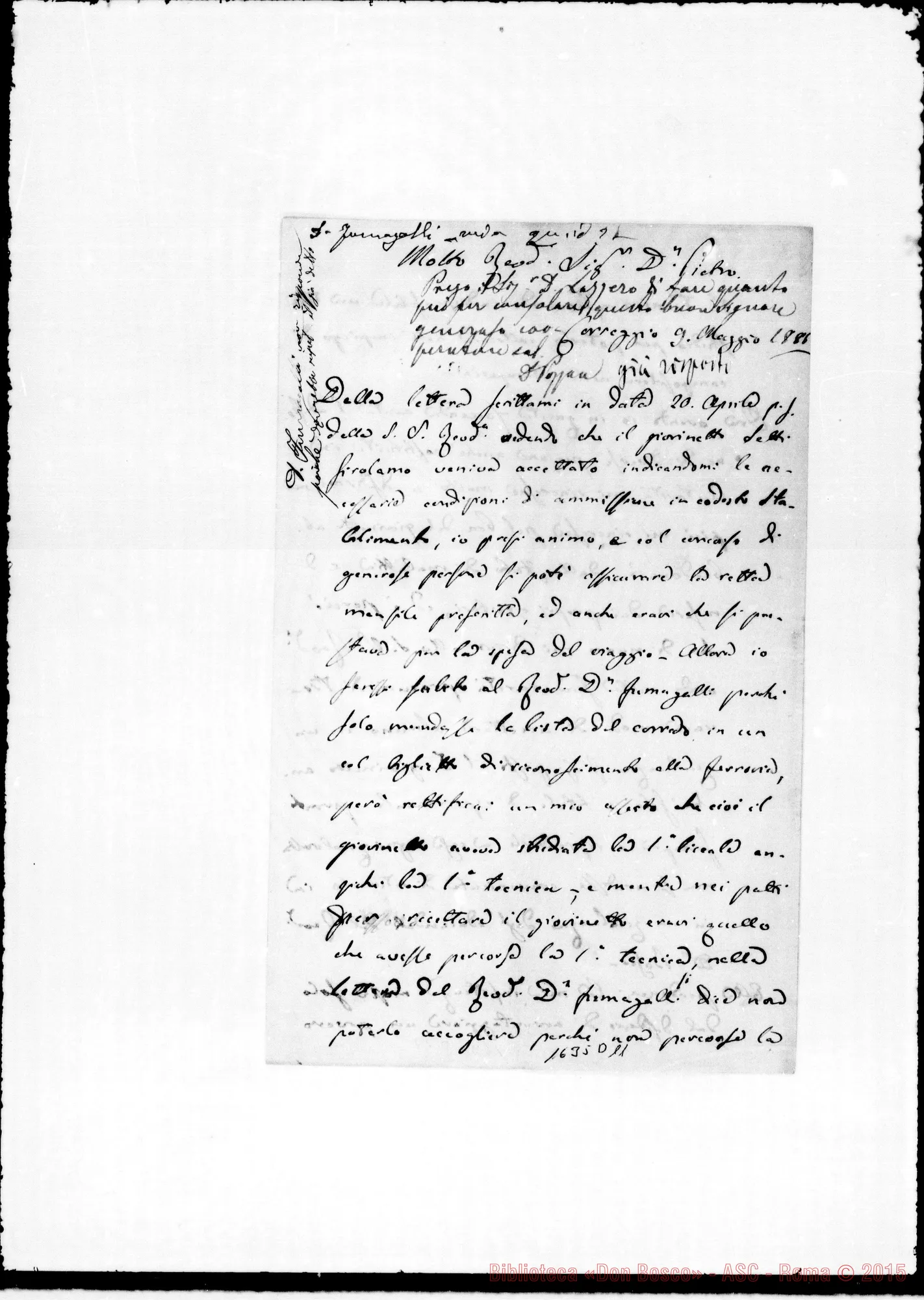 Fotogramma D 11 — Bellelli Antonio