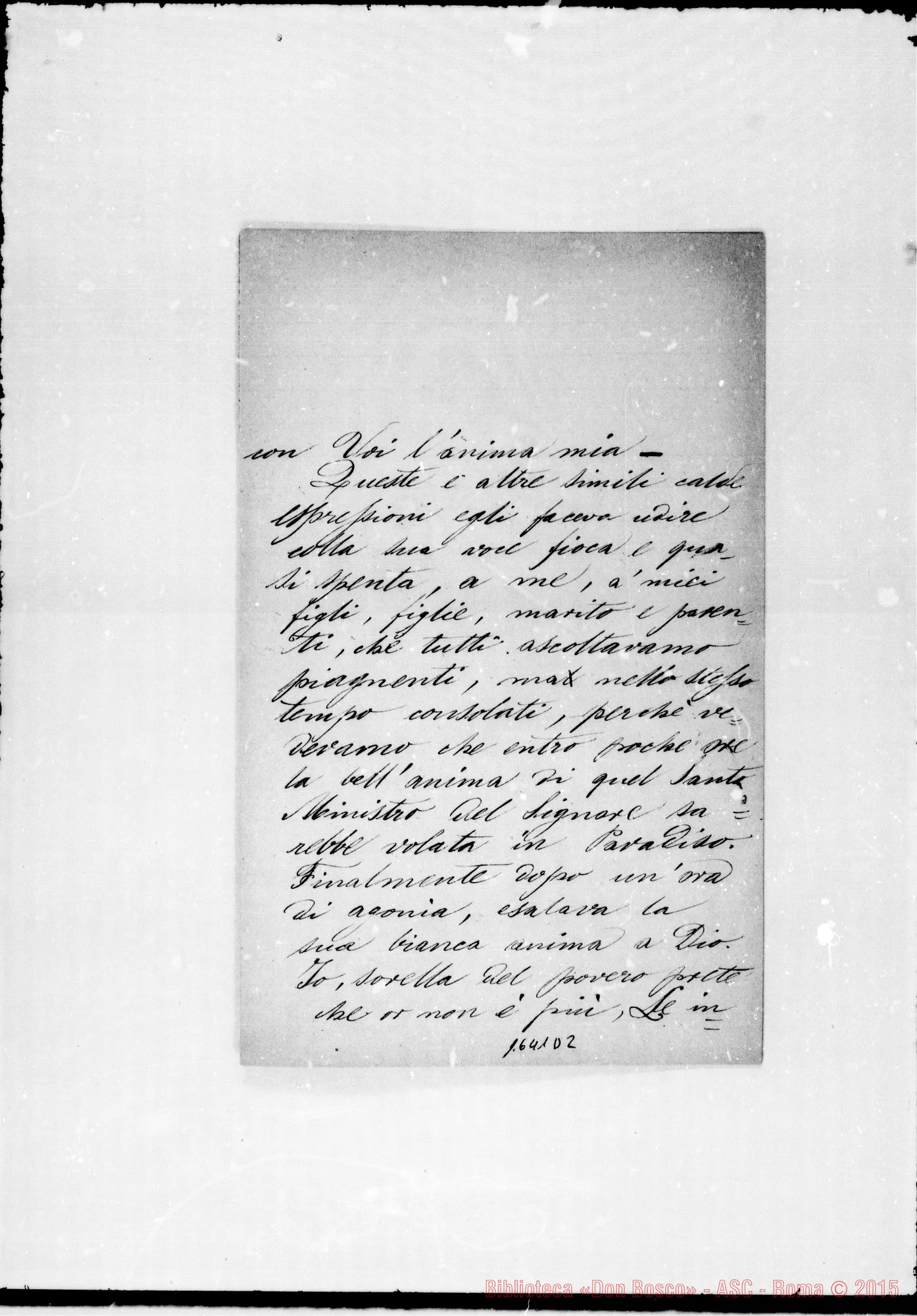 Fotogramma D 2 — Bettio Rosa-Bosco
