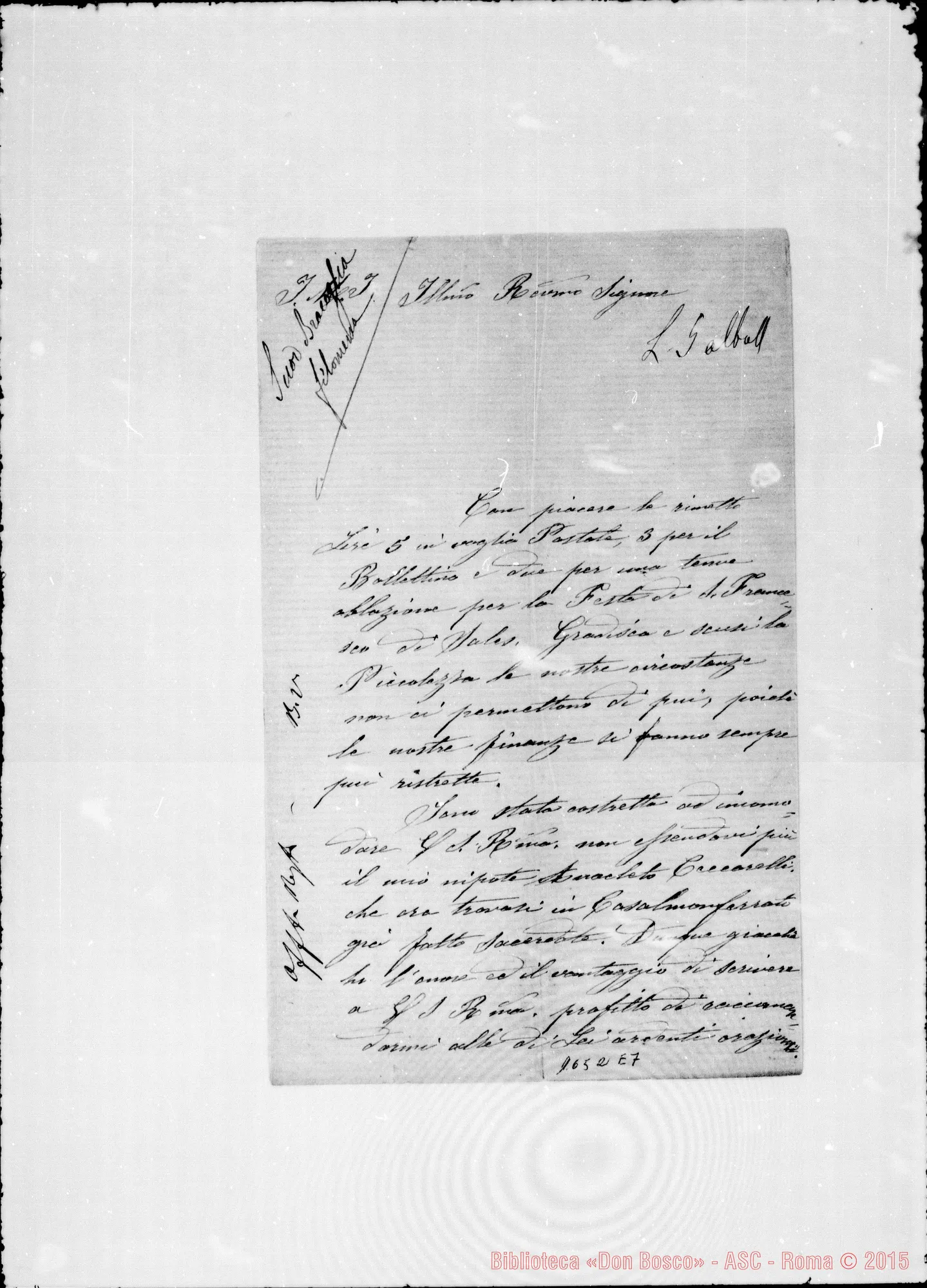 Fotogramma E 7 — Bracoglia Filomena