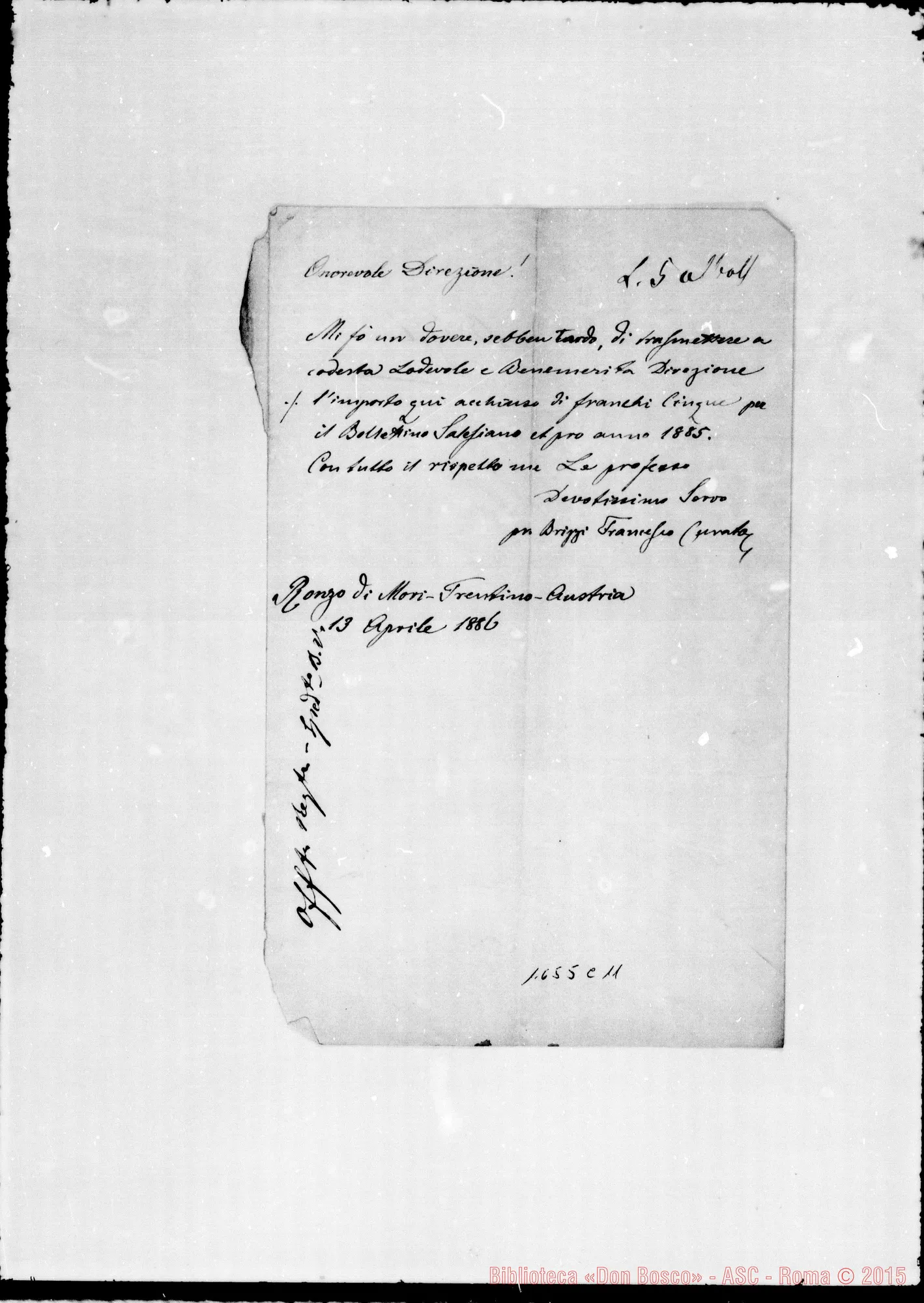 Fotogramma C 11 — Brizzi Francesco