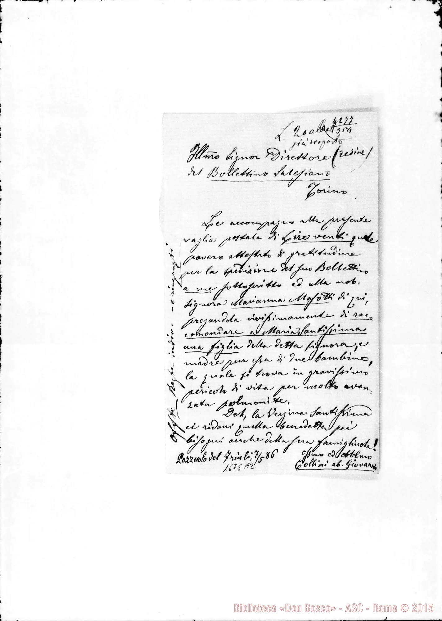 Fotogramma A 2 — Collini Giovanni