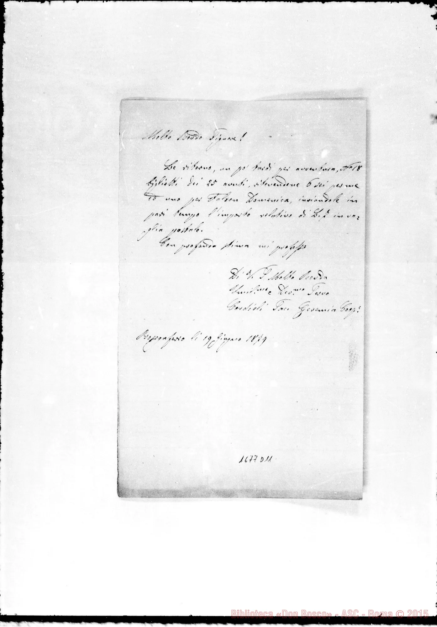 Fotogramma D 11 — Cordioli Geremia