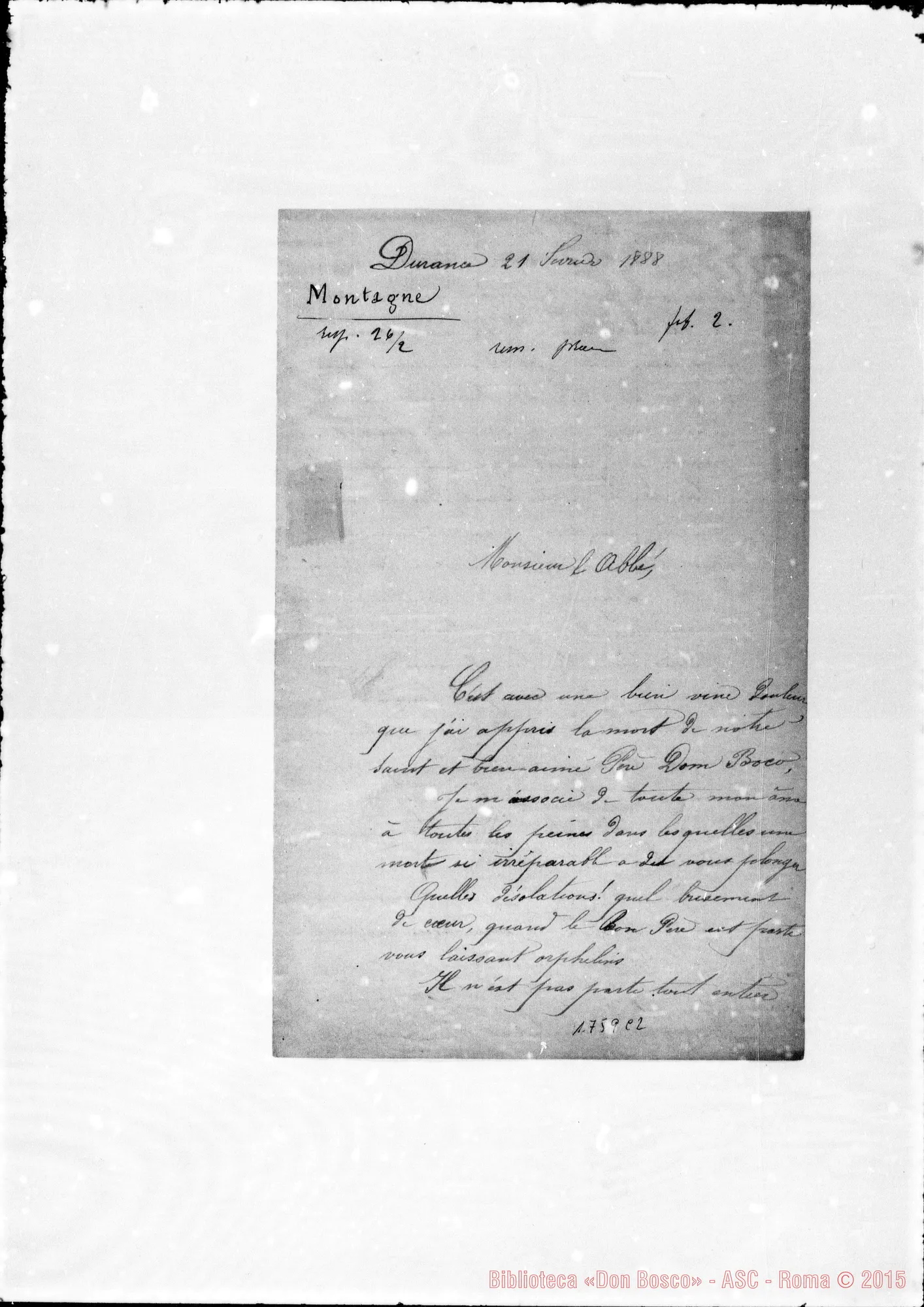 Fotogramma C 2 — 2-3