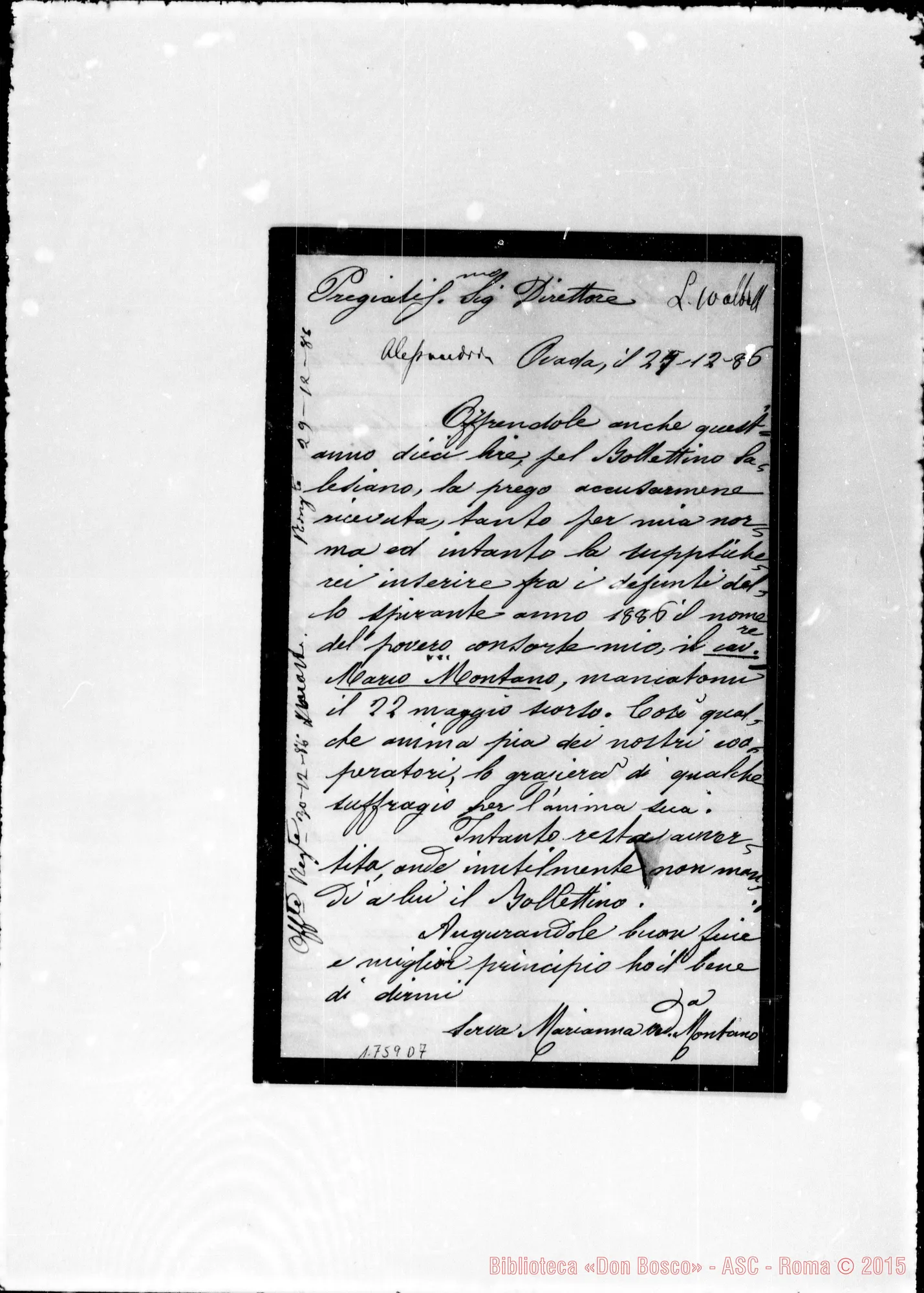 Fotogramma D 7 — Montano Marianna