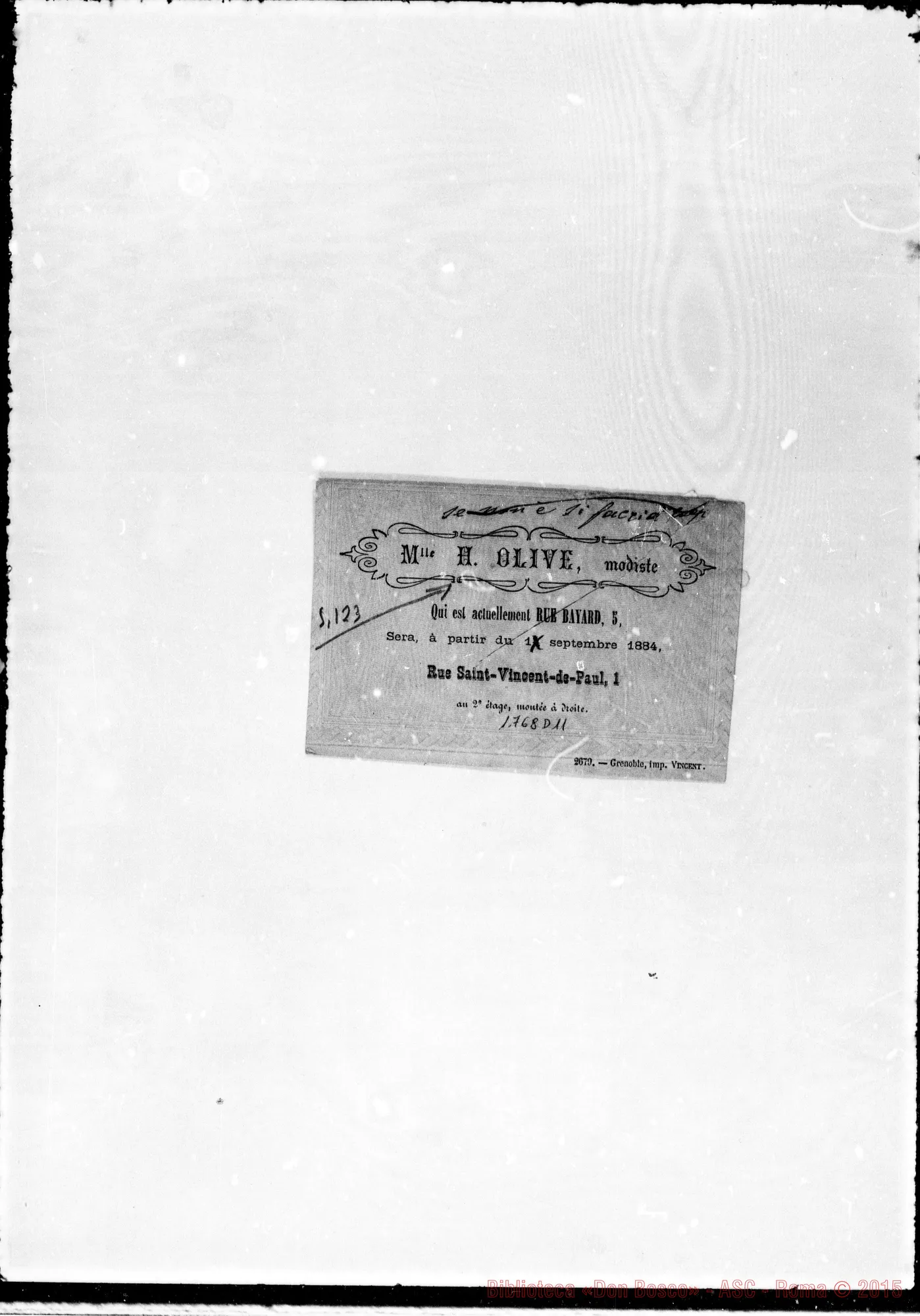 Fotogramma D 11 — Olive H.