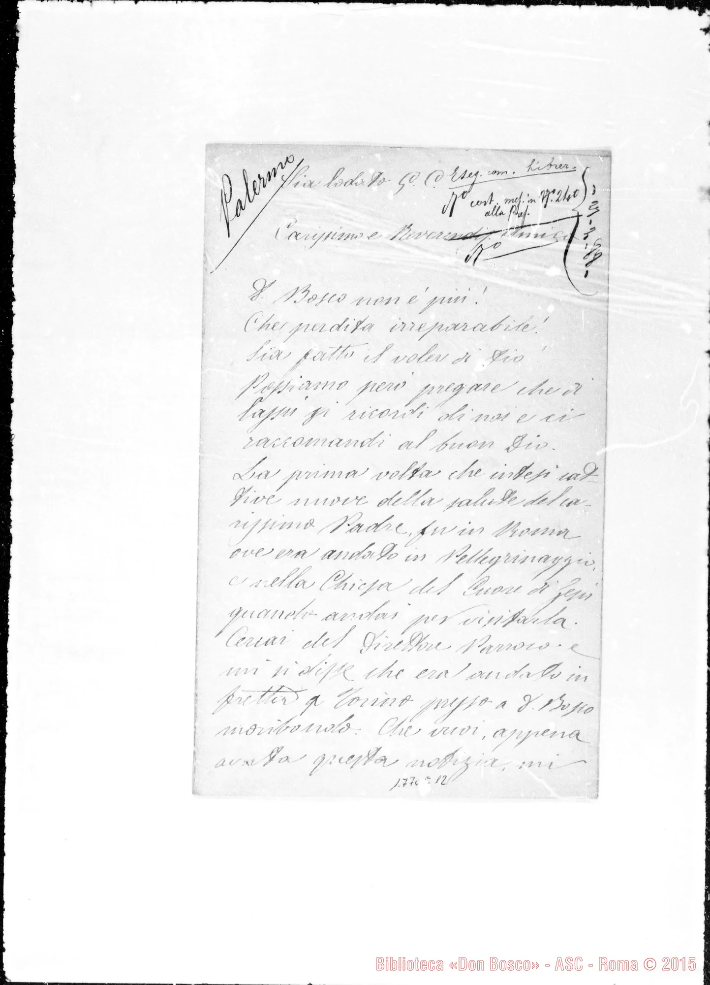 Fotogramma E 12 — Palermo Alfonso