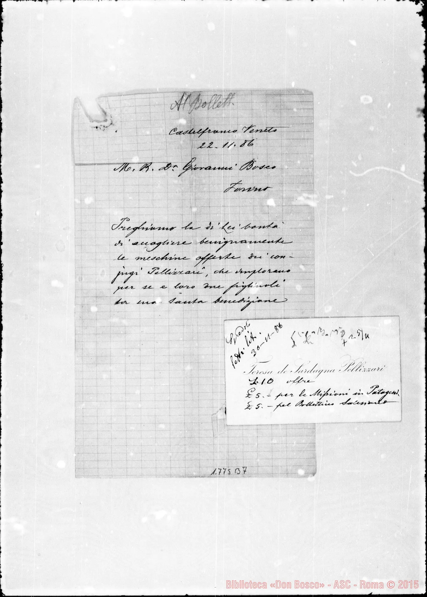 Fotogramma B 7 — Pellizzari Teresa de Sardagna
