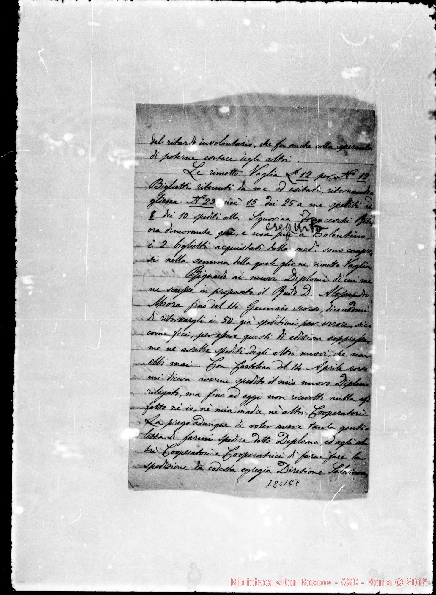 Fotogramma C 7 — Sassolini Antonio-Bosco