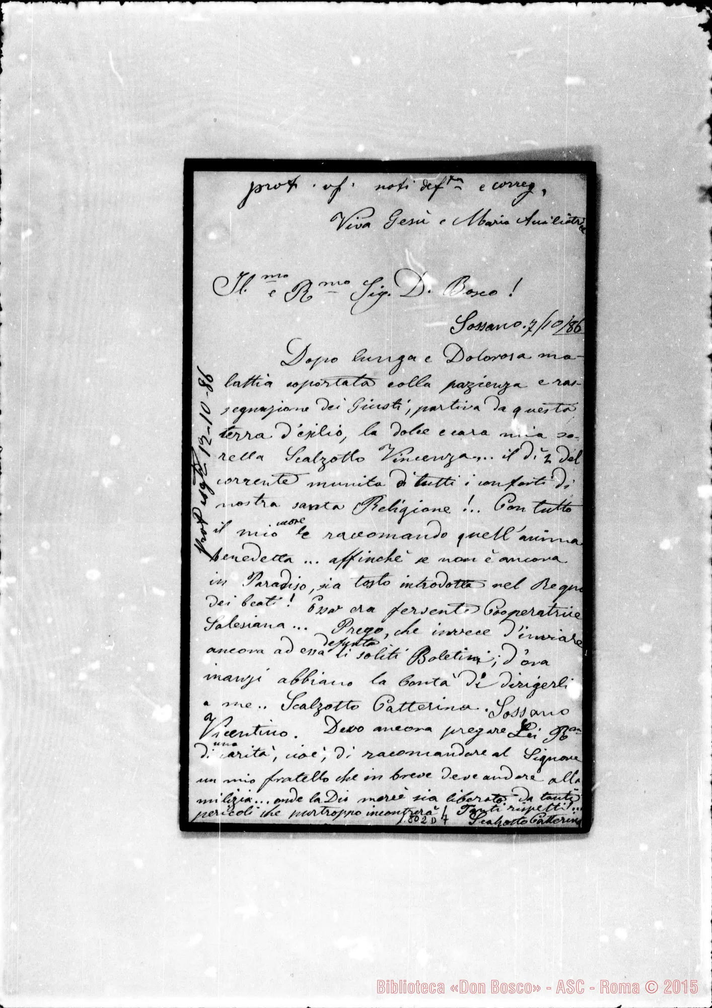 Fotogramma D 7 — Scalzotto Catterina-Bosco