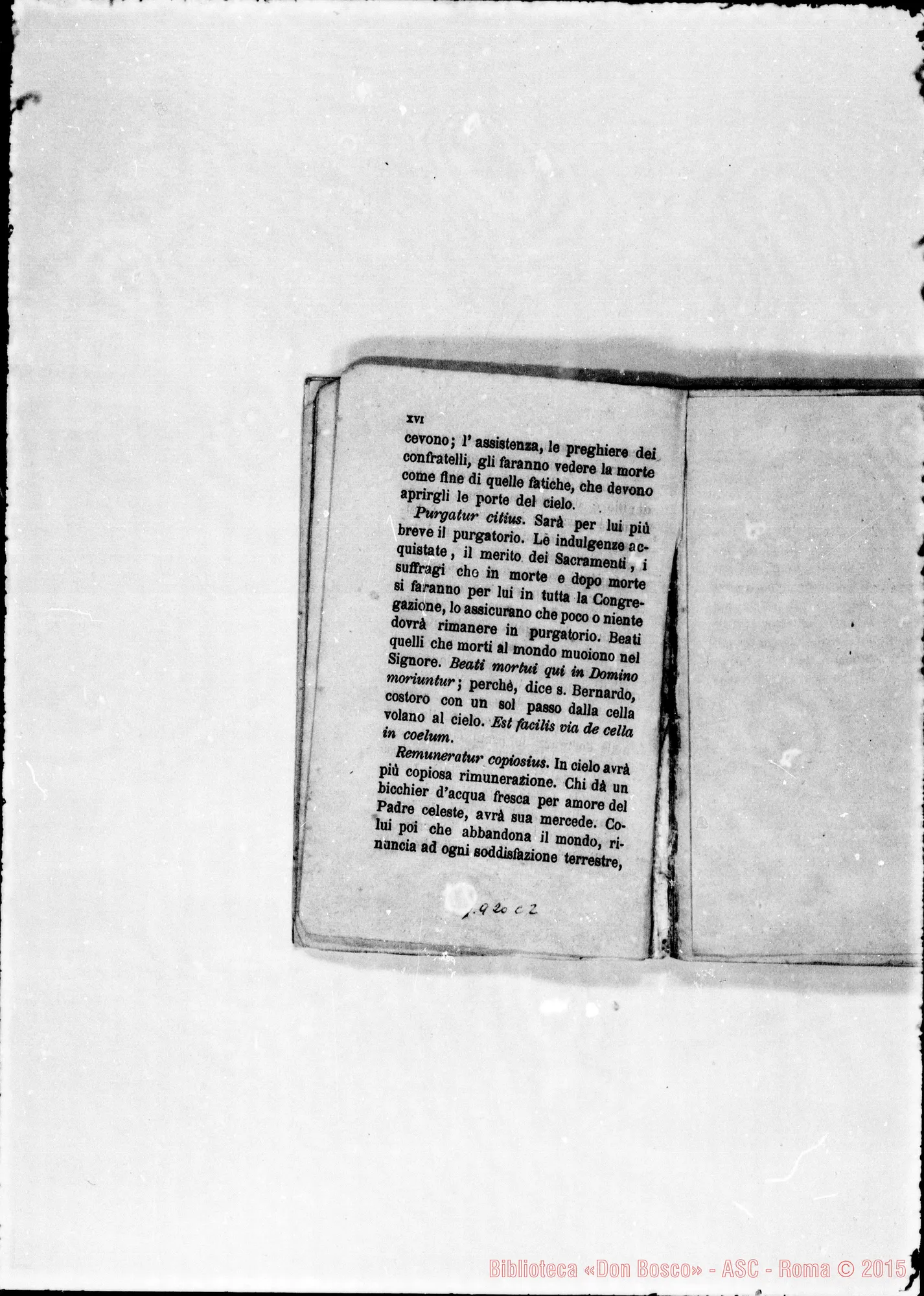 Fotogramma C 2 — Prima Edizione in lingua italiana. Anche Introduzione…