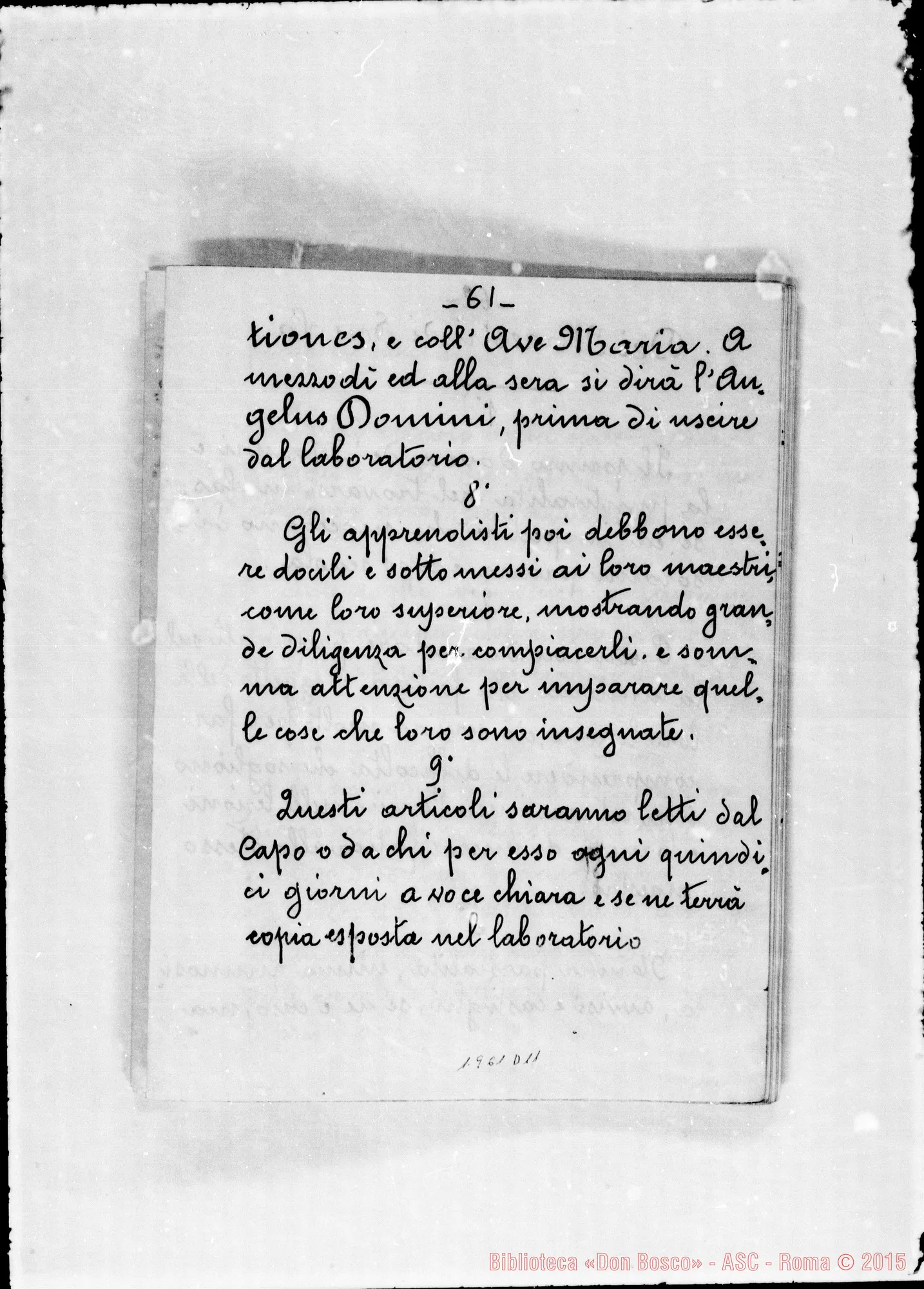 Fotogramma D 11