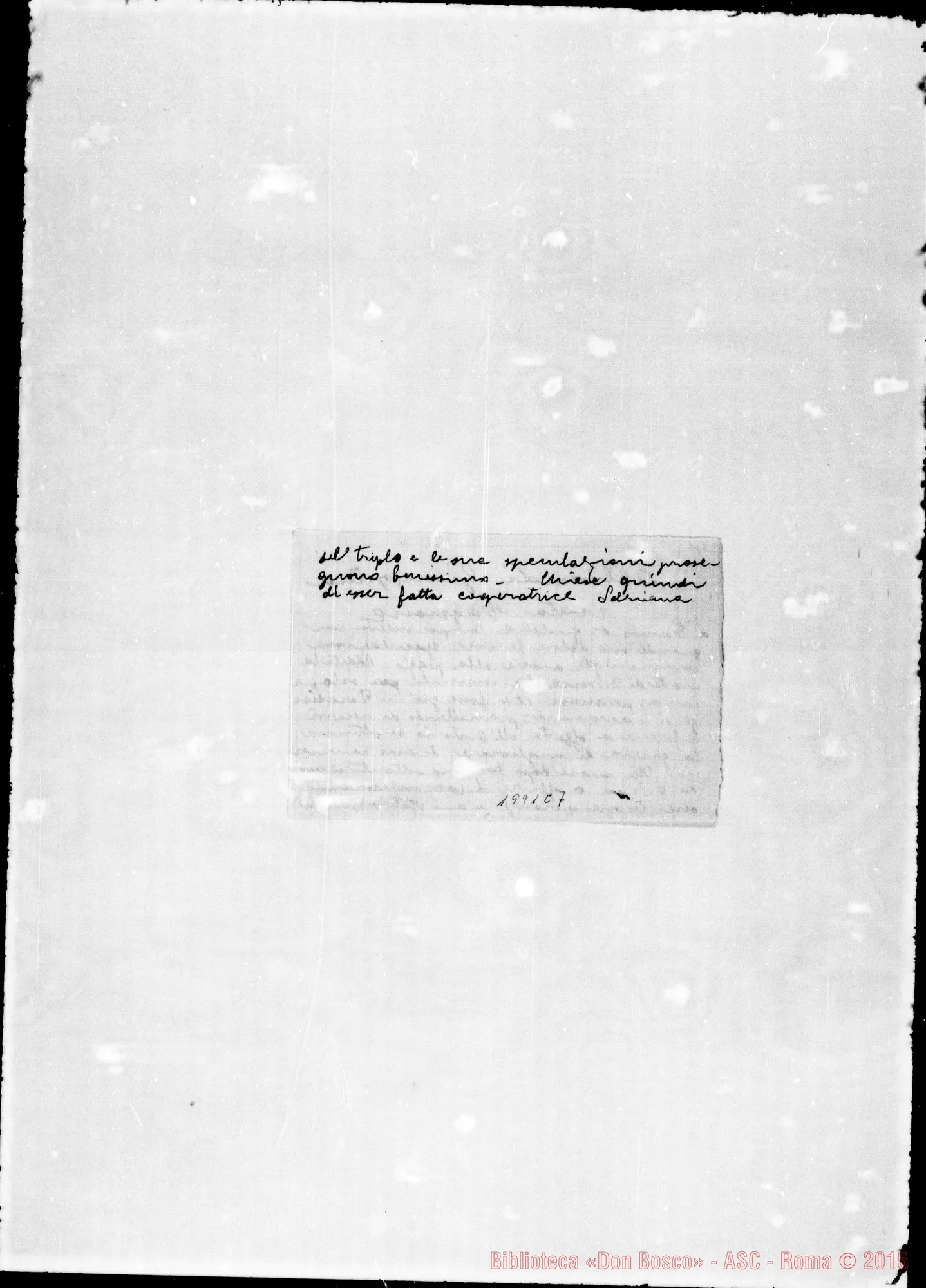 Fotogramma C 7 — Note su Giuseppina Alliandi