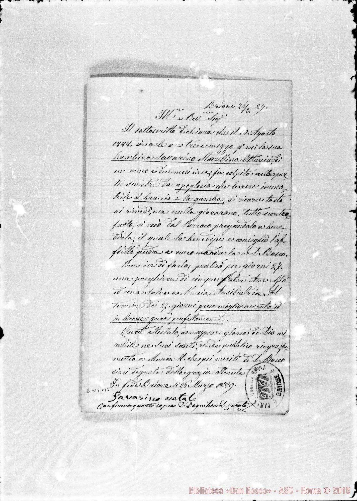 Fotogramma B 7 — Dognibene Domenico: Relazione