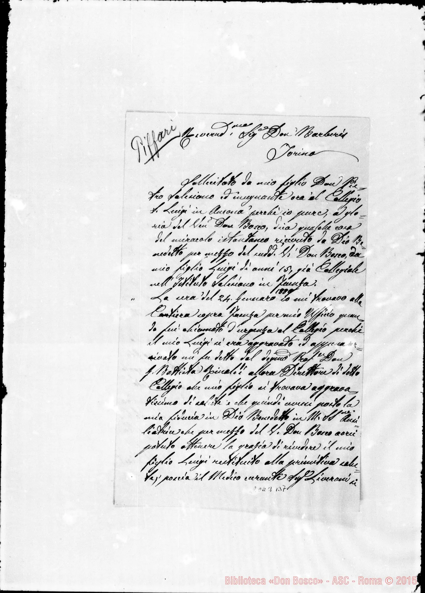 Fotogramma B 7 — Piffari Settimia-D. Barberis