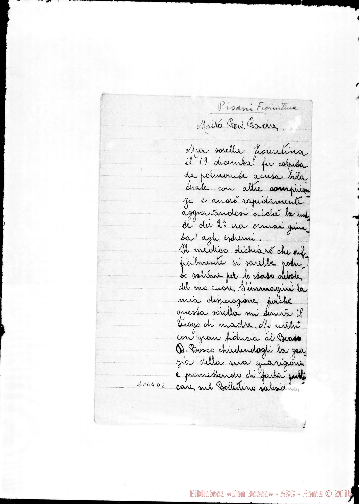 Fotogramma D 2 — Pisani Fiorentina: Relazione