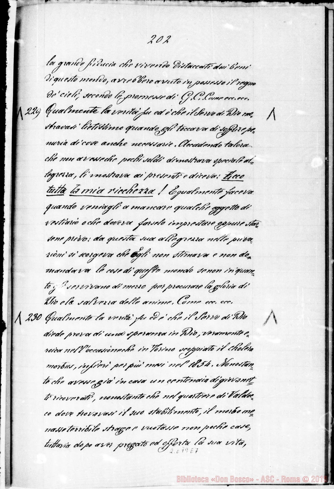 Fotogramma E 7