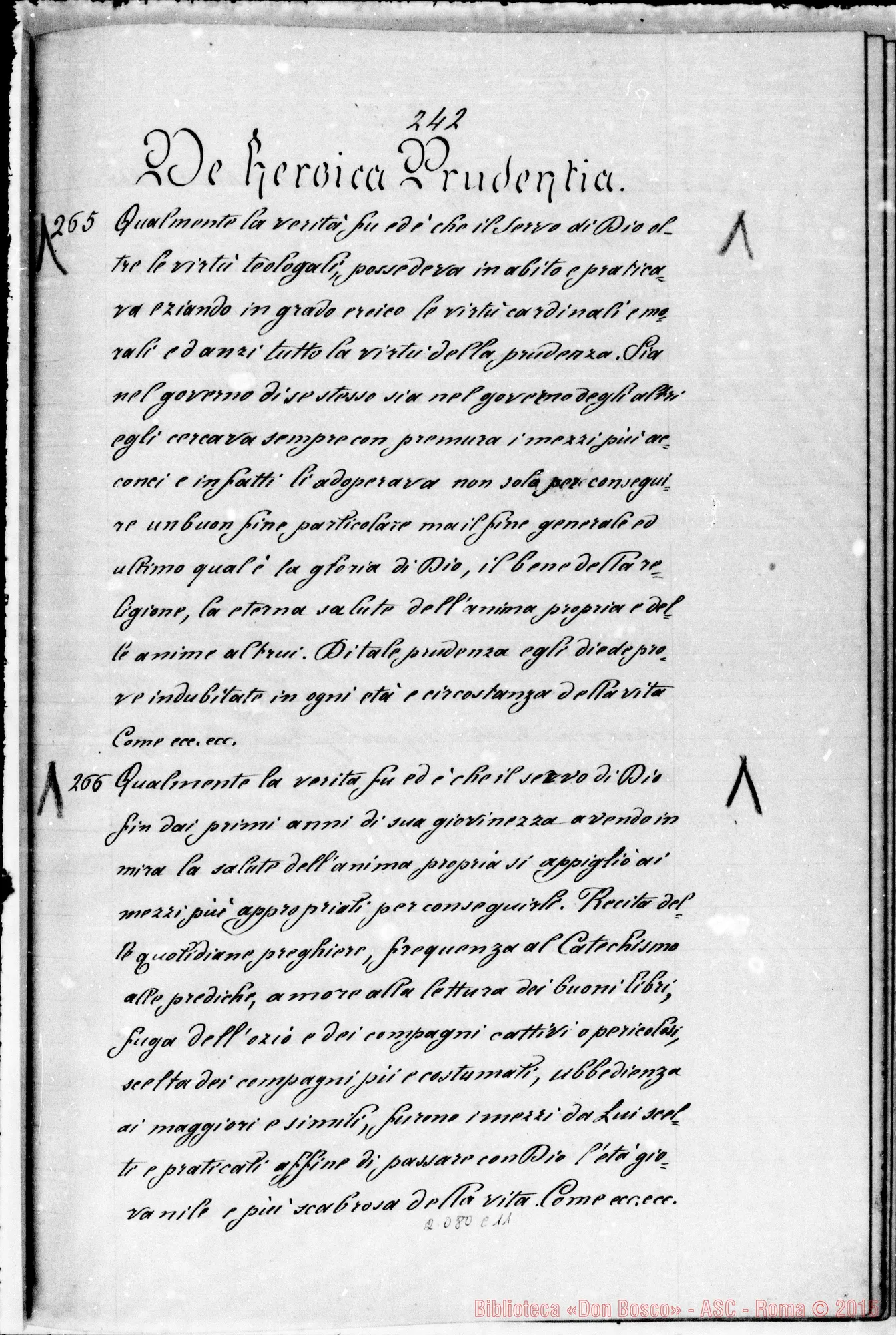 Fotogramma C 11