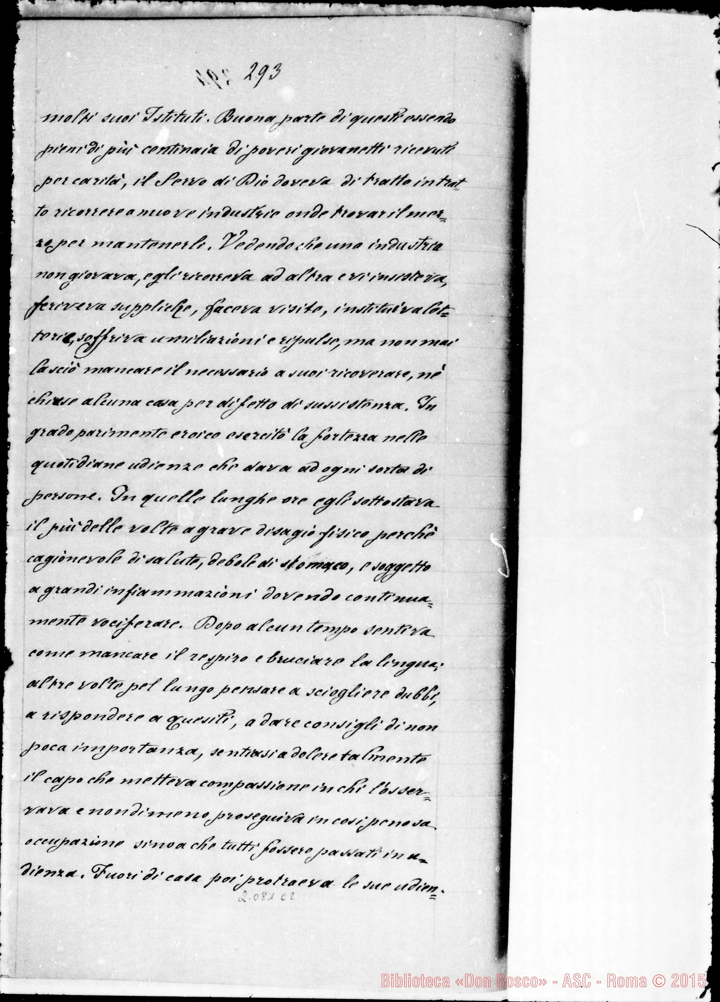 Fotogramma C 2