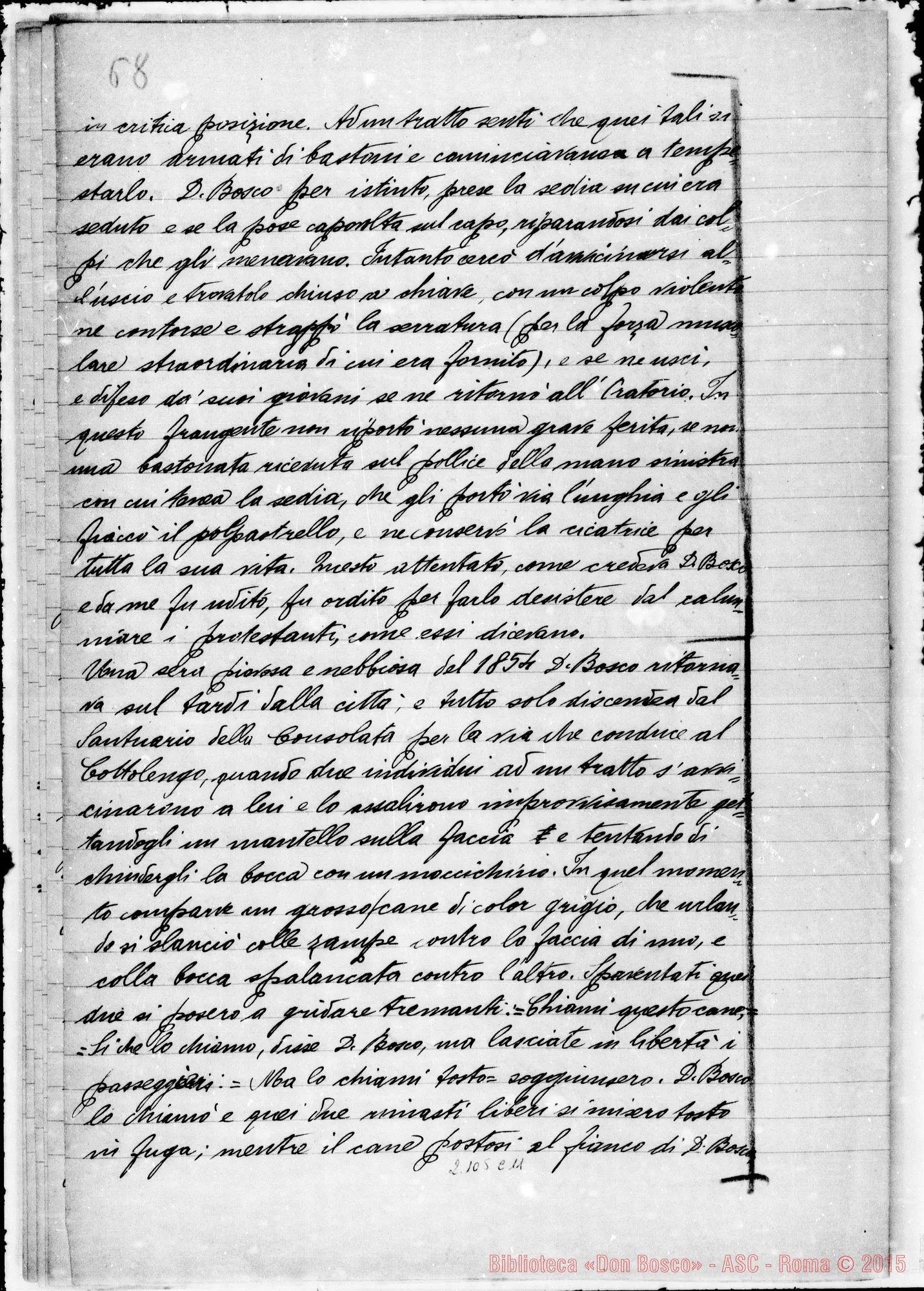 Fotogramma C 11