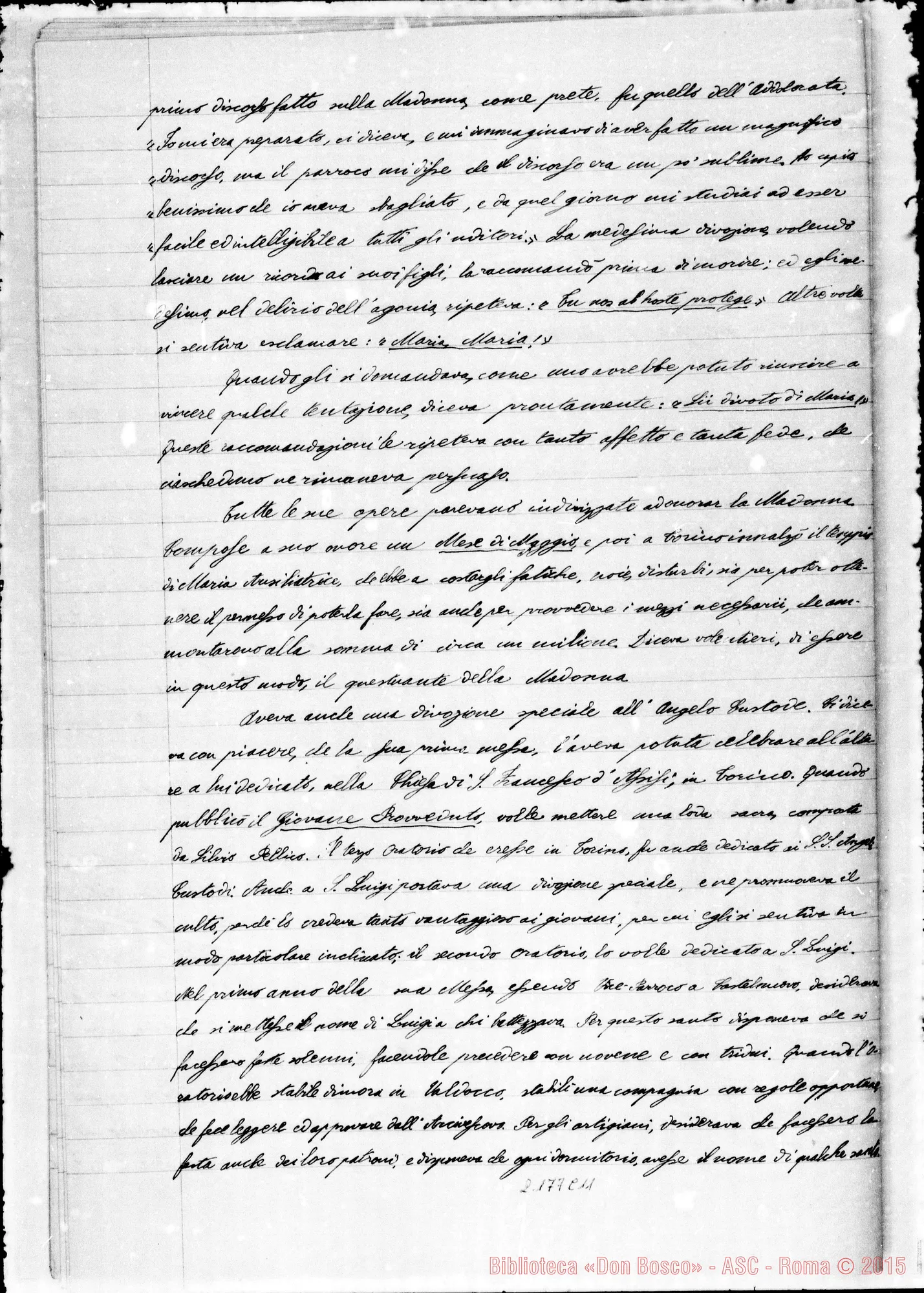 Fotogramma C 11