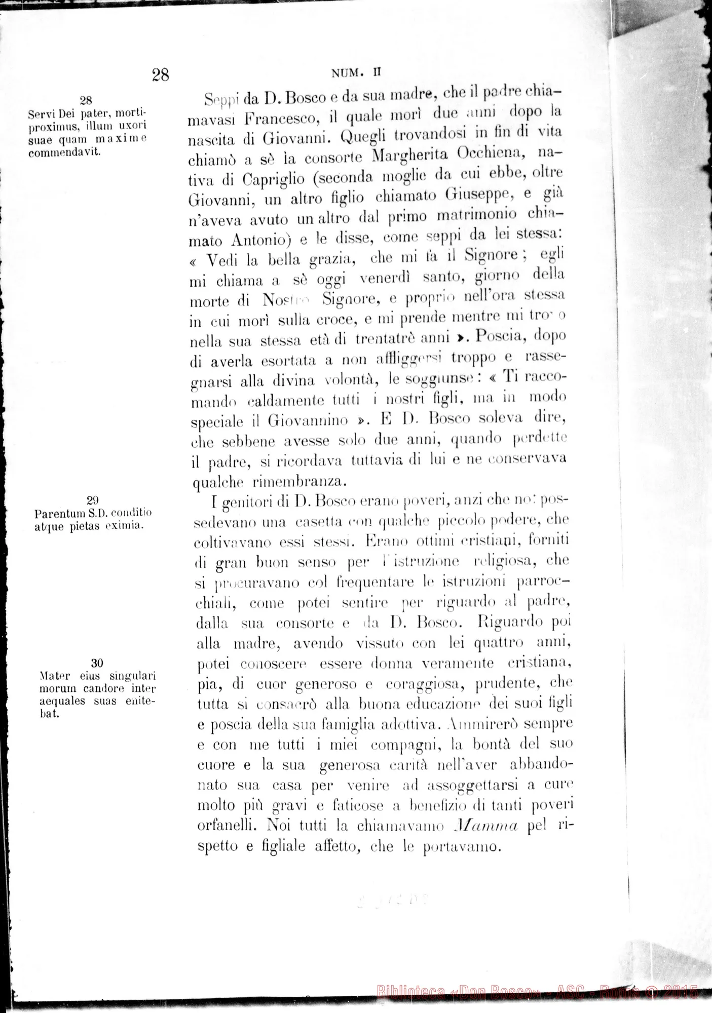 Fotogramma D 8 — Summarium